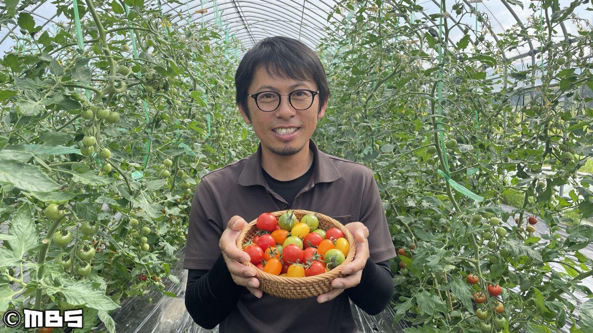 情熱大陸【上田拓郎／野菜農家▽奥能登の自然が育む、唯一無二！“奇跡のトマト”】🈑