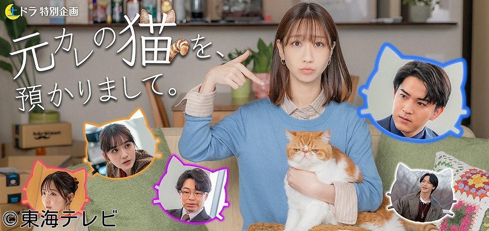 土ドラ特別企画・元カレの猫を、預かりまして。　＃０２🈑【しゃべる猫が人生指南】