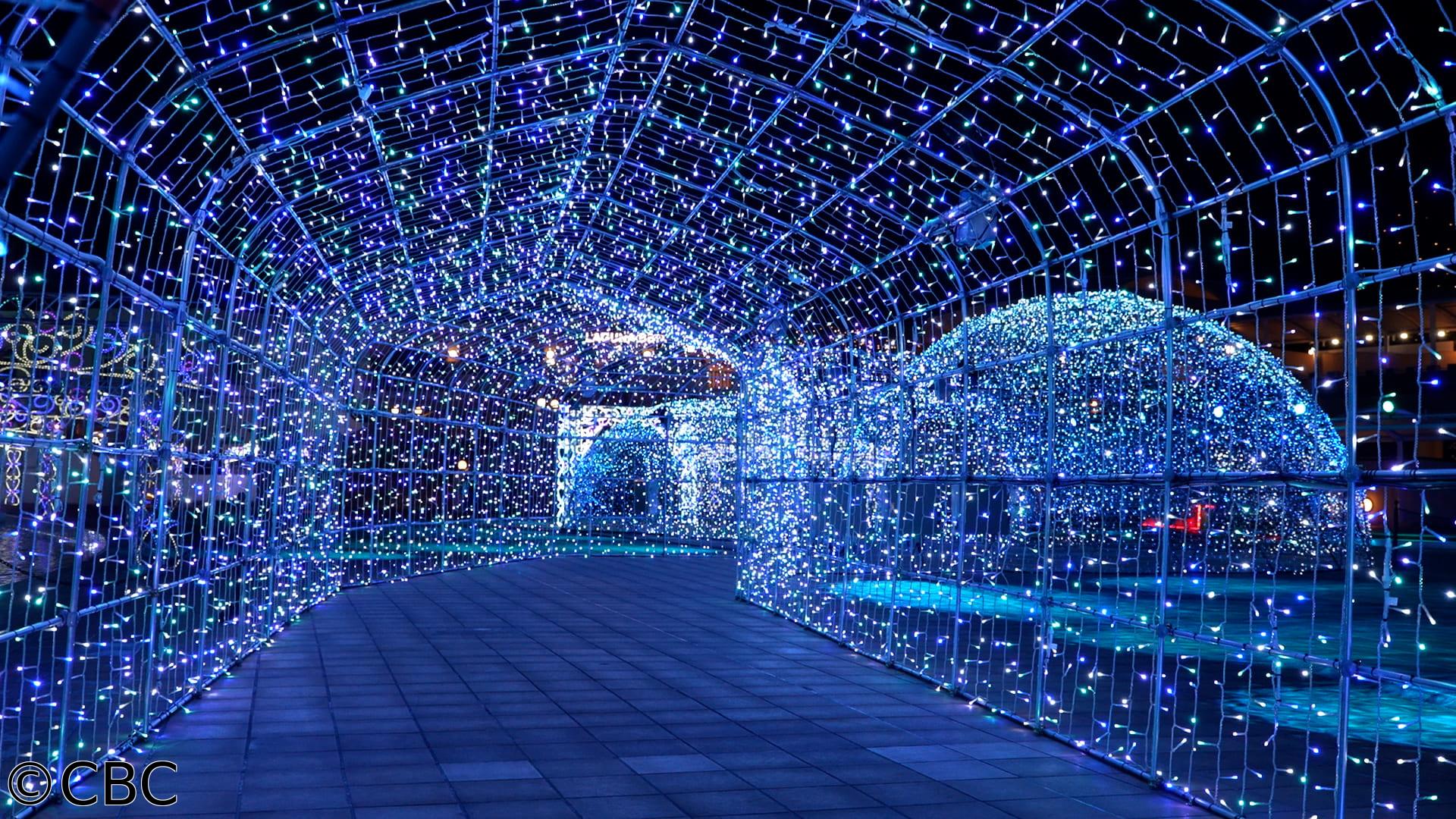 太田×石井のデララバ🈑【東海イルミネーションＳＰ】