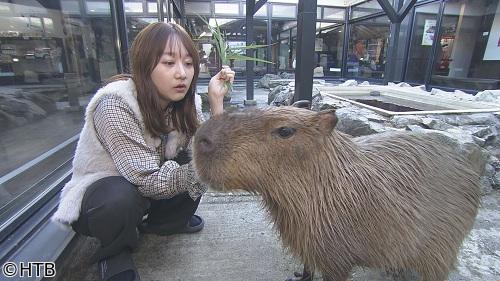 ＬＯＶＥ　ＨＯＫＫＡＩＤＯ　石狩を味わおう！石狩鍋に舌鼓！森の中にこだわりくん製
