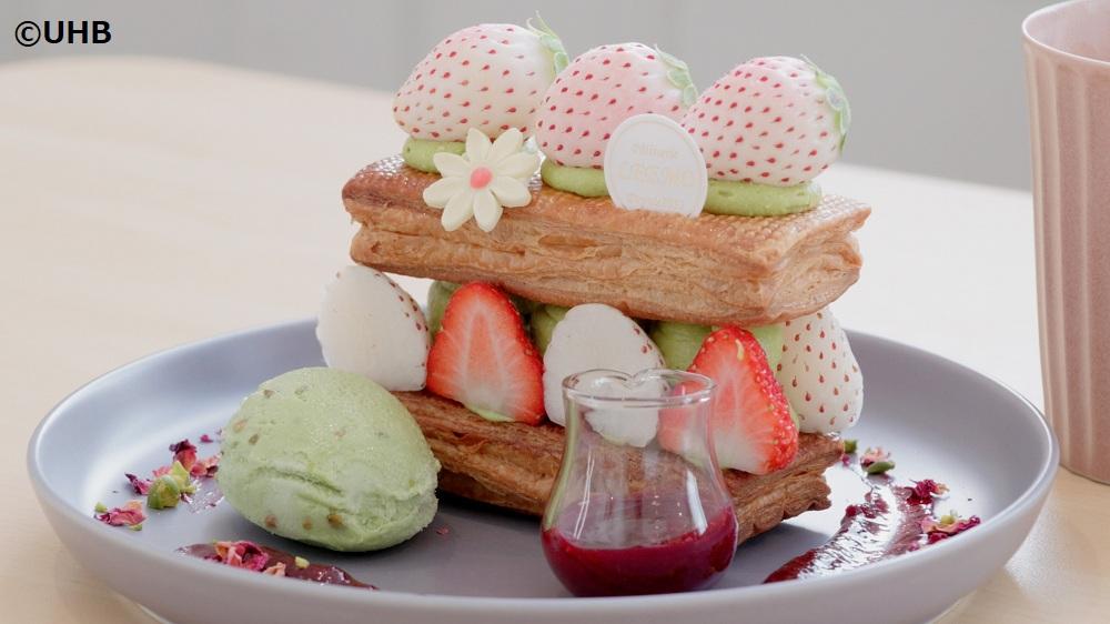 いっとこ！みんテレ