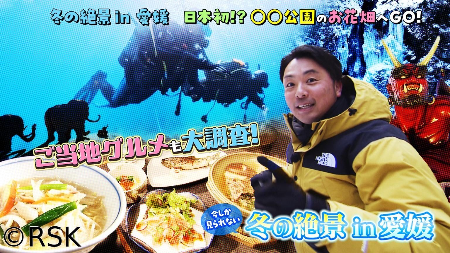 VOICE de GO！　今しか見られない冬の絶景in愛媛　日本初!?○○公園のお花畑へGO！