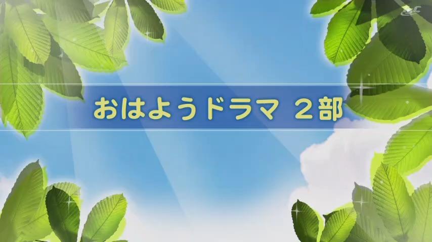 時代劇・大江戸捜査網　第１０６話「仕掛けられた身代金」🈞