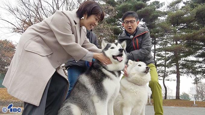 わが町バンザイ【矢巾町】
