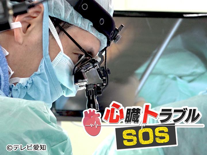 心臓トラブルＳＯＳ🈑