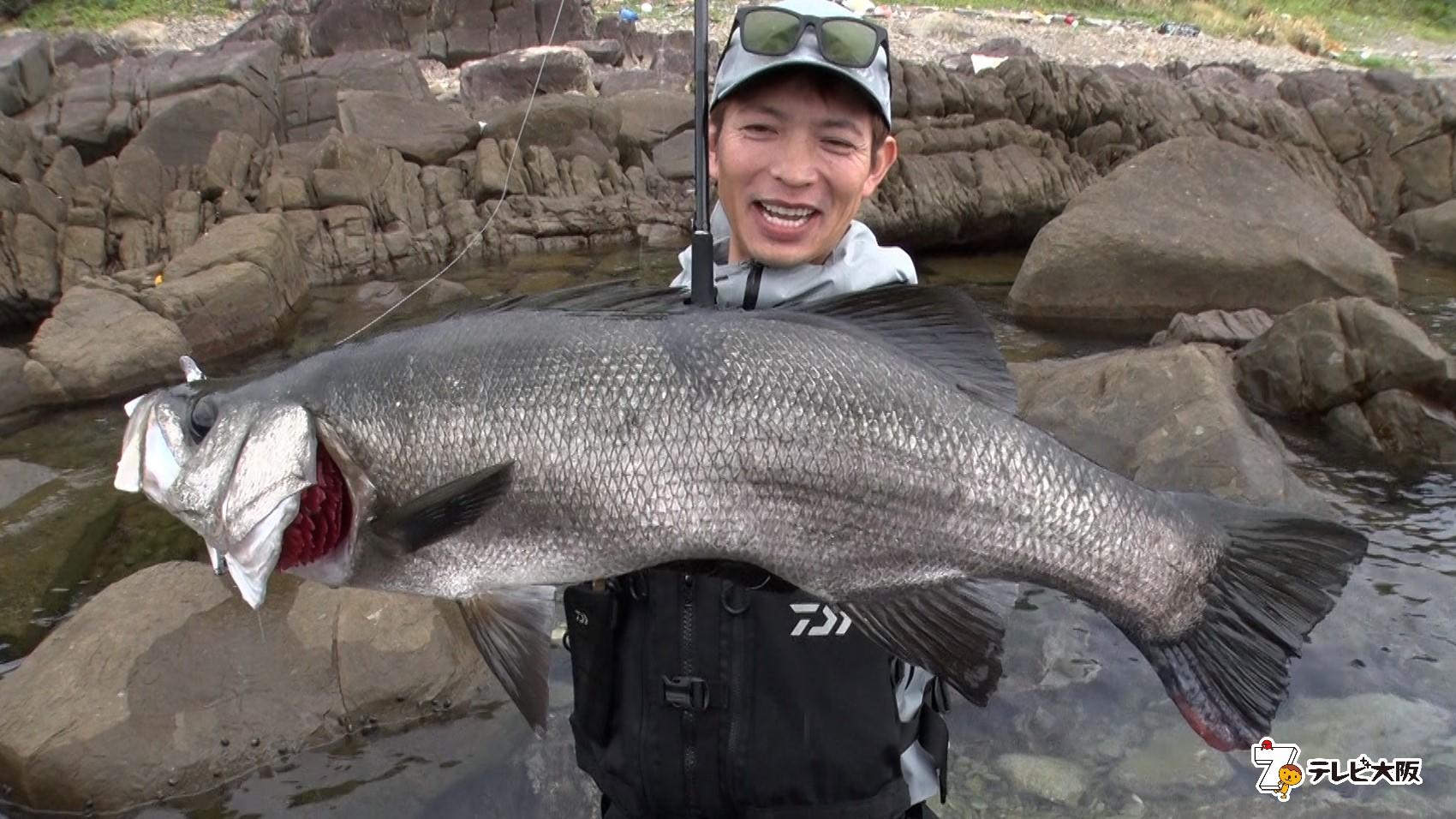 ＴＨＥフィッシング　種子島を駆け巡る！荒磯の王者ヒラスズキ🈑🈖