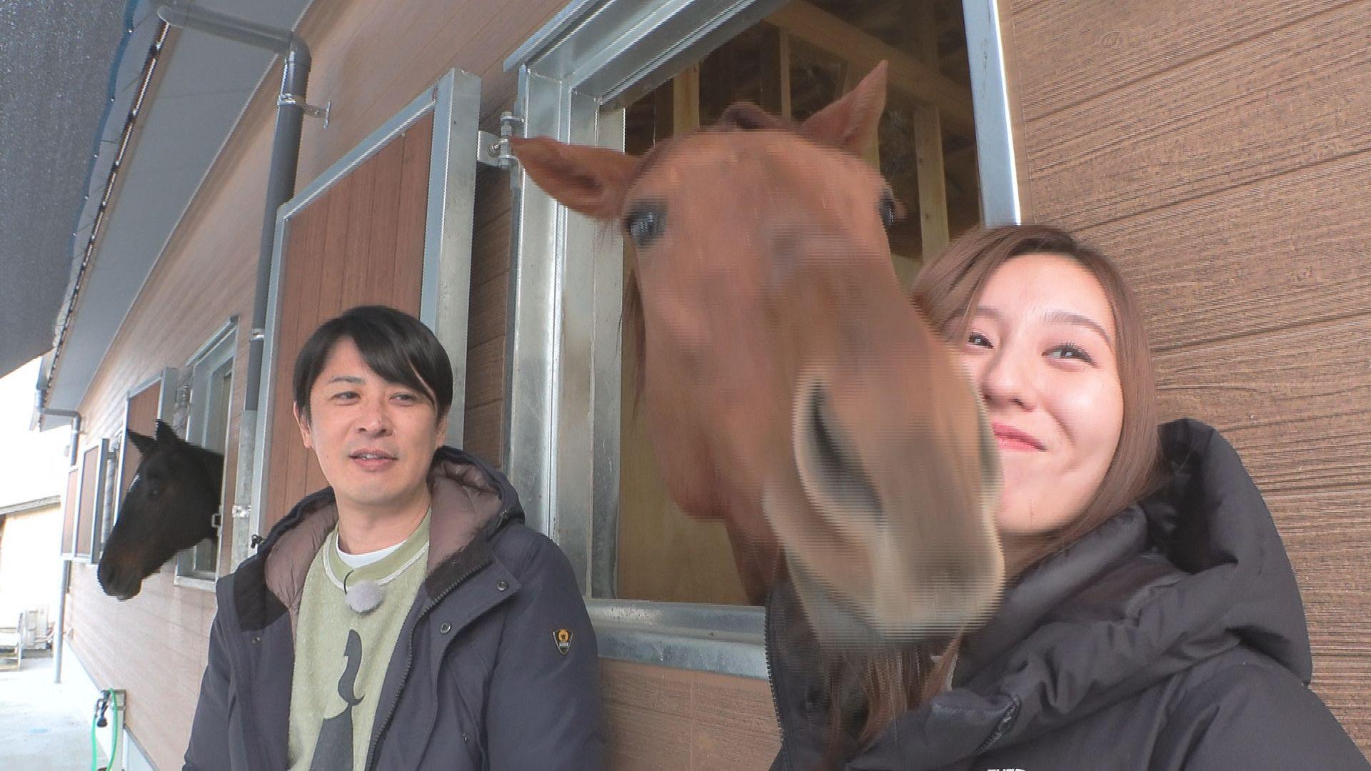 よるマチ！▽癒やしの寄り道ドライブ旅！今回は南予へ！