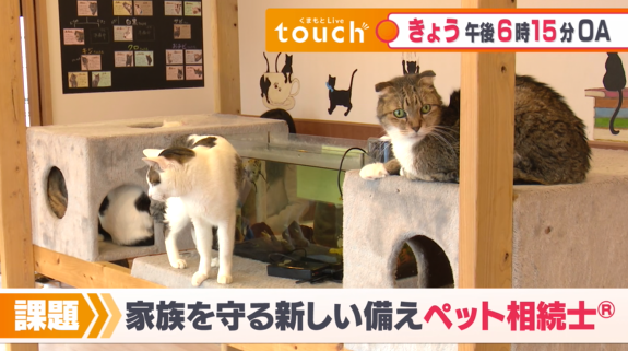 🈢くまもとＬｉｖｅ ｔｏｕｃｈ▼譲渡先を紹介するネコカフェなど飼育環境を特集。