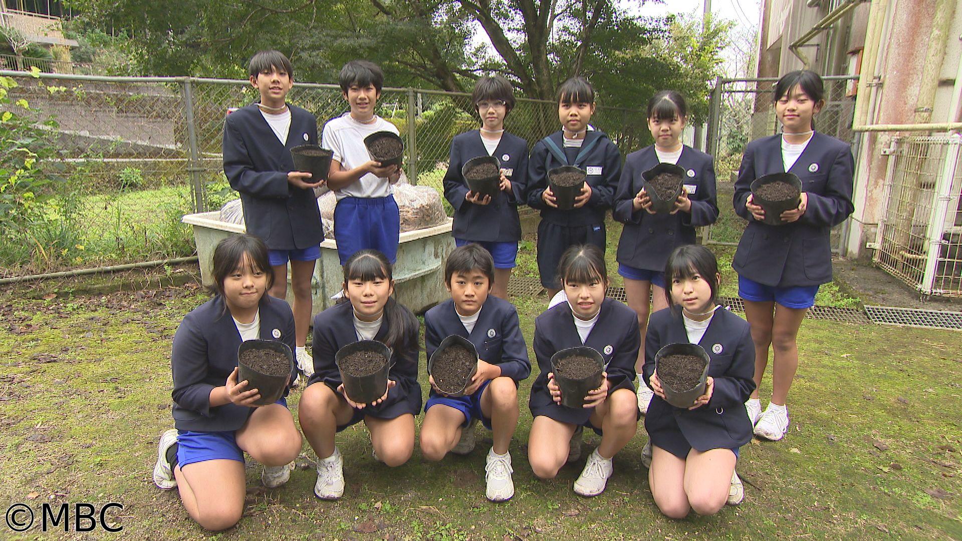 わたしたちの未来〜学校におけるエコ活動〜