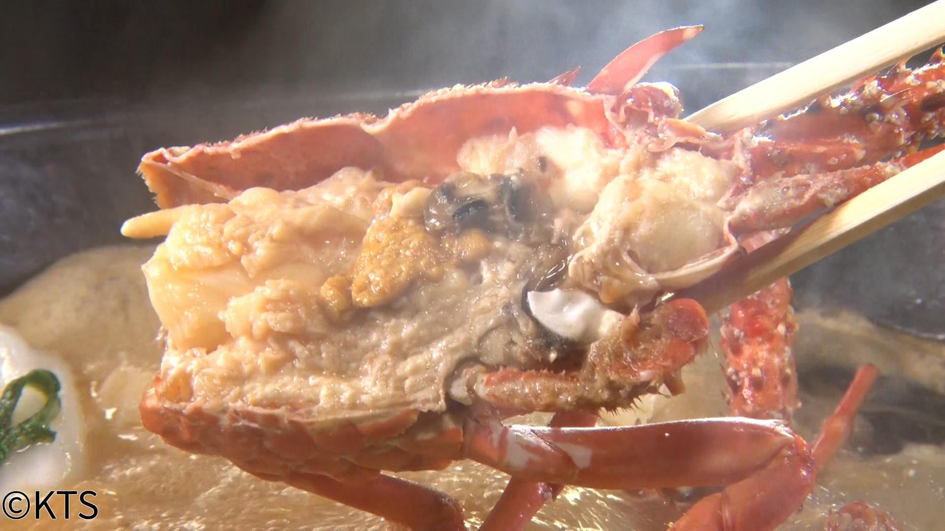 🈢かごｎｅｗ◆県産食材“あったか鍋”特集！赤鶏さつま＆海の幸🈀