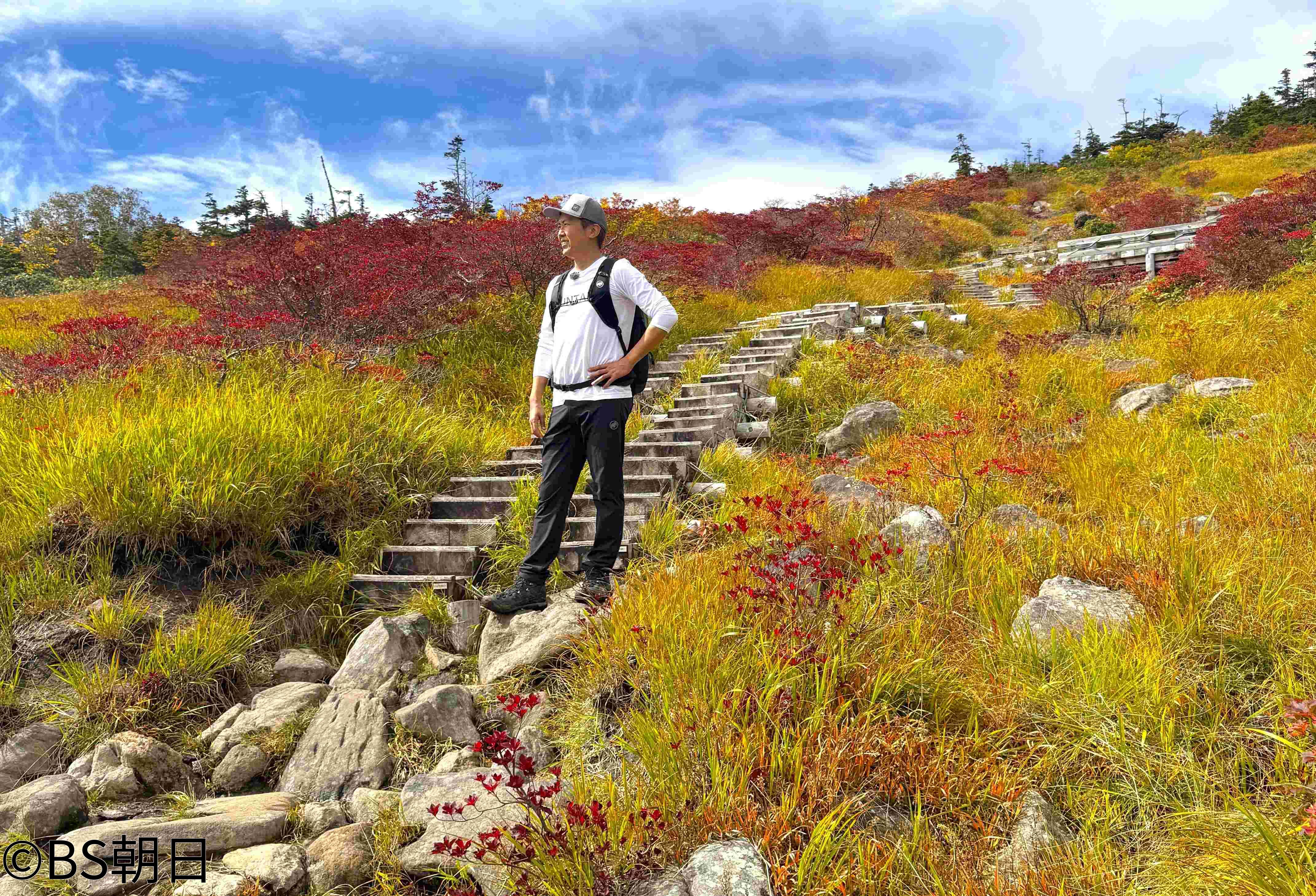 🈑そこに山があるから　▽苗場山（新潟県・長野県）山肌に広がる、色彩豊かな草紅葉