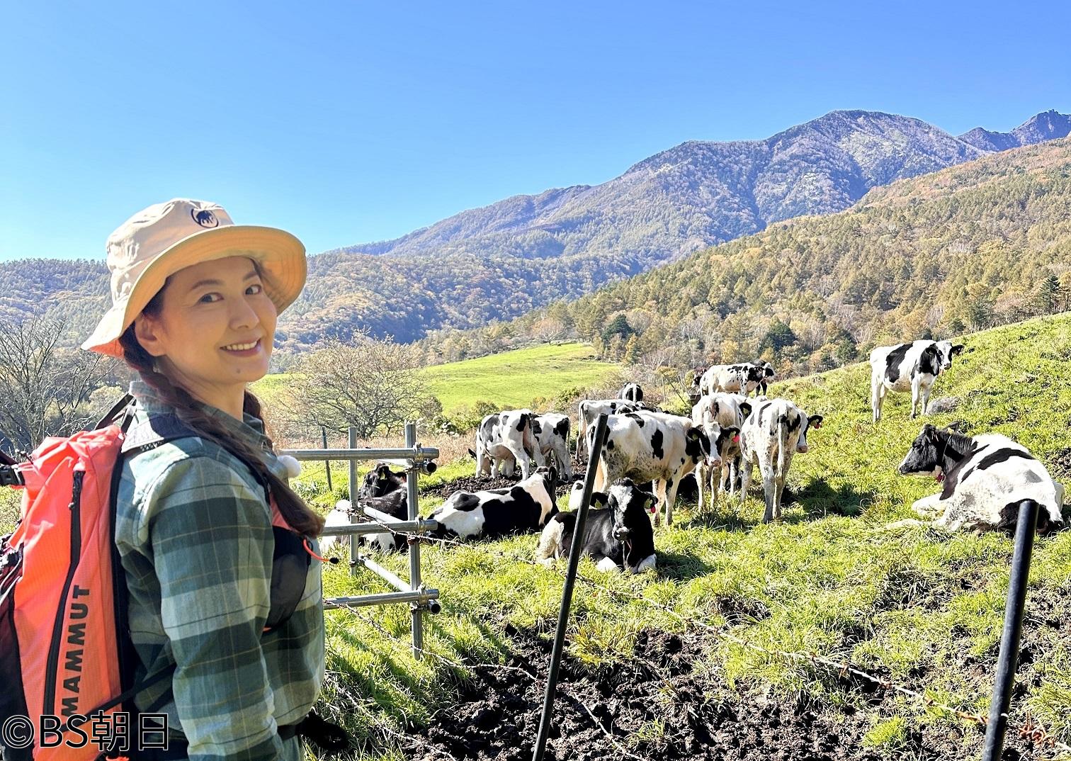 🈑そこに山があるから　▽天女山（山梨県）開放感抜群の広大な牧場横断