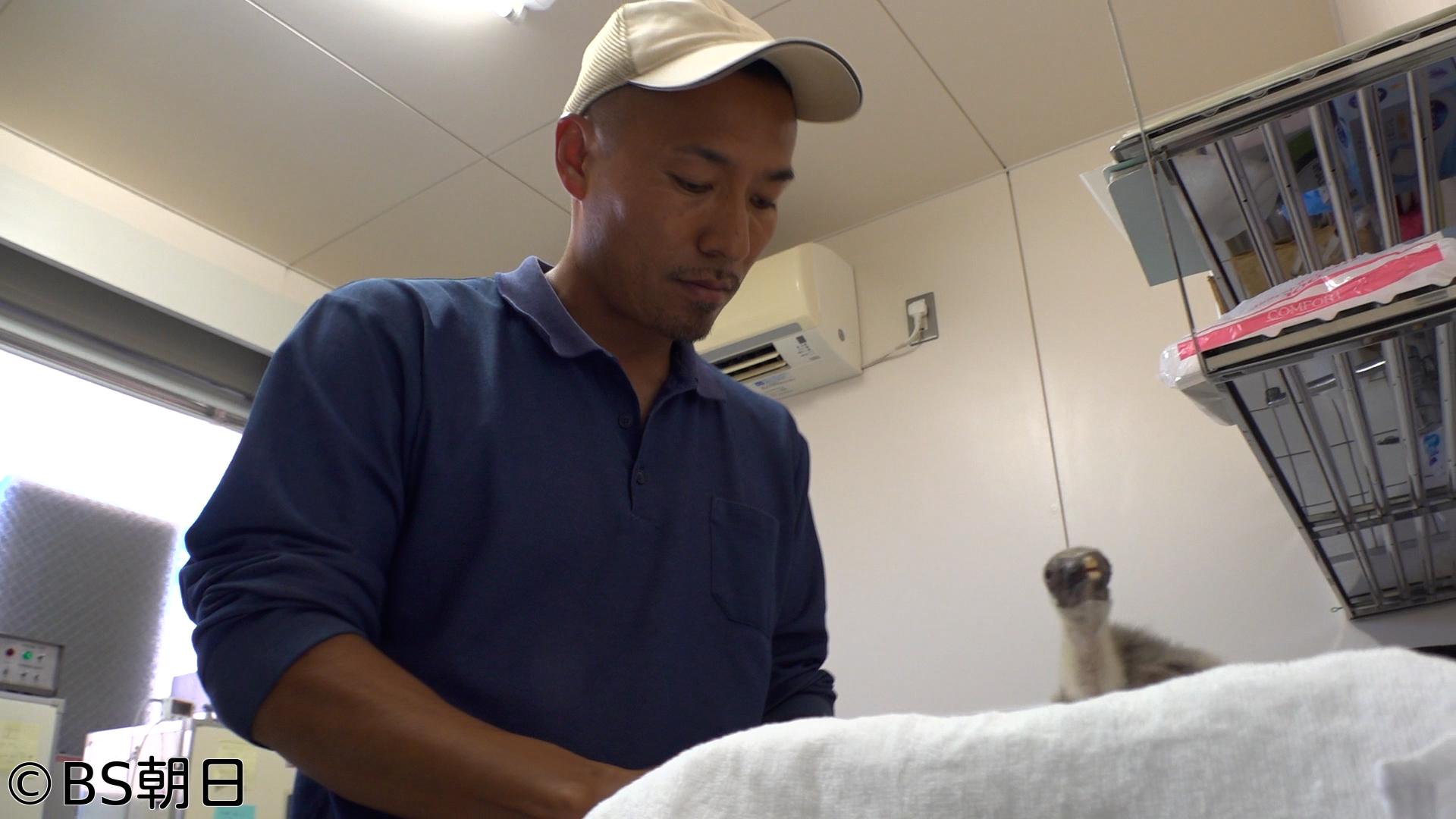 🈑自分流〜“知”の探求者たち〜　「伊藤豊洋（トキ飼育員）」