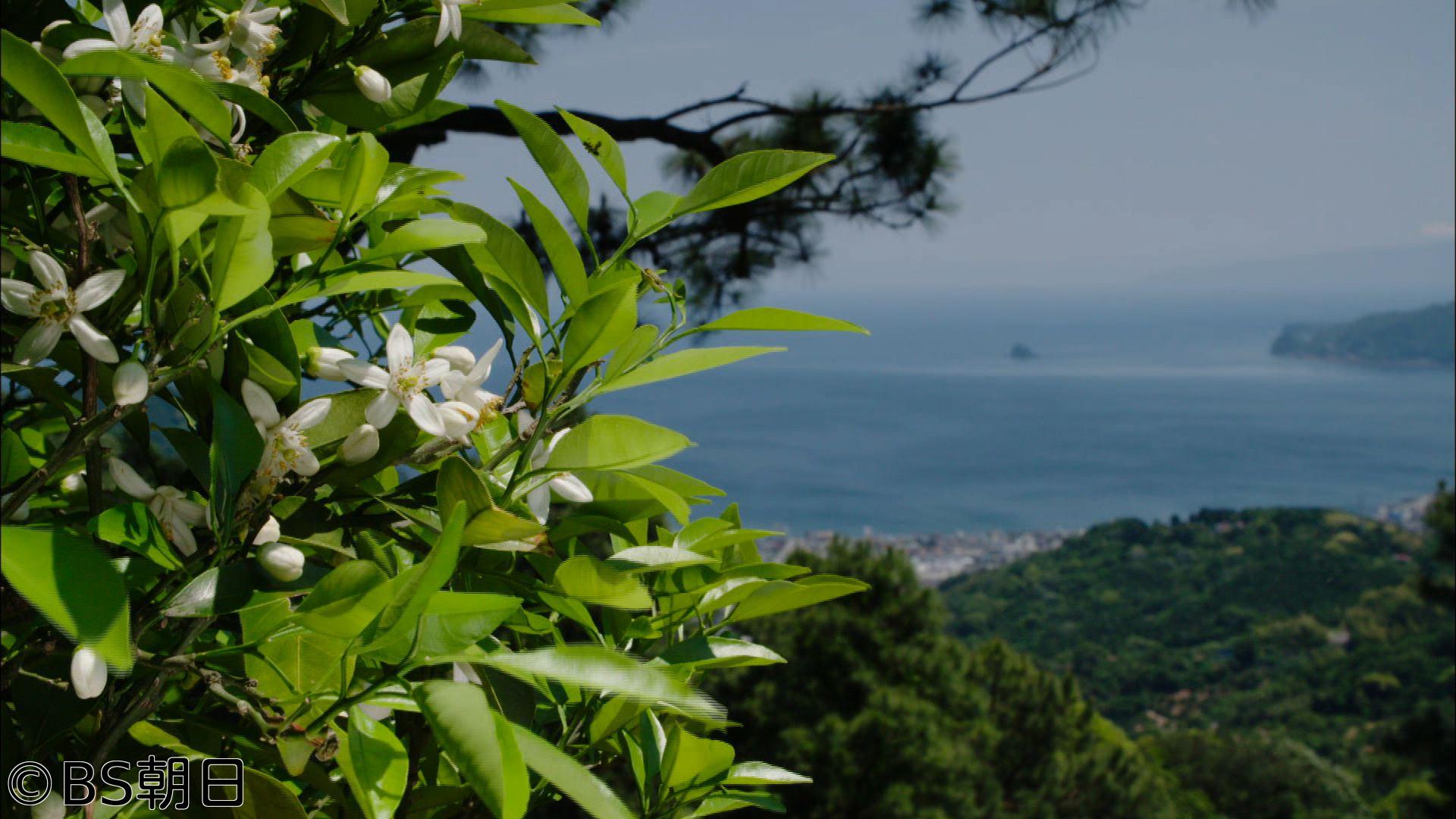 🆞🈑子供たちに残したい　美しい日本のうた　＃136