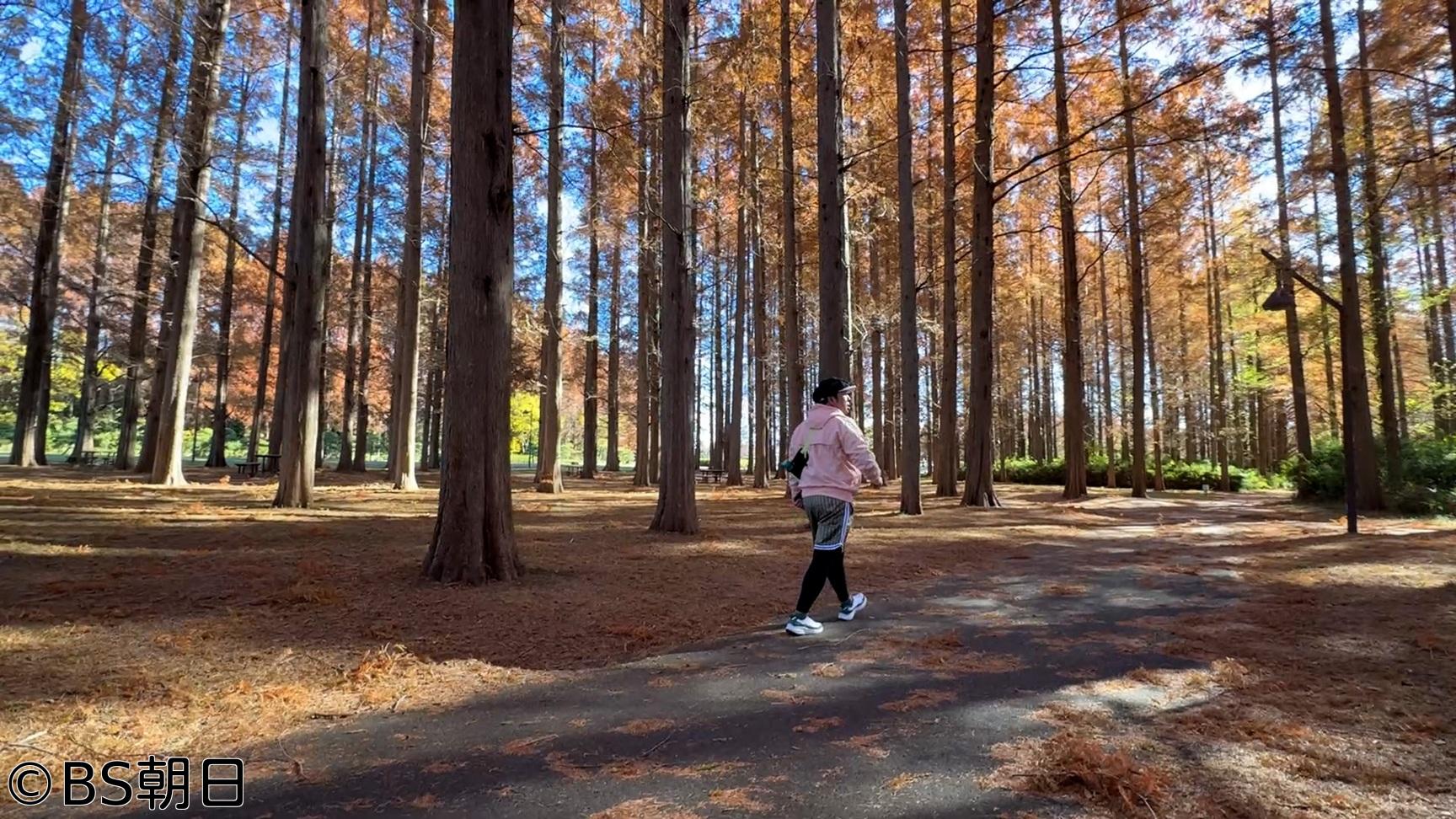 🈑バナナマン日村が歩く！ウォーキングのひむ太郎　「都立 水元公園〜金町駅編」