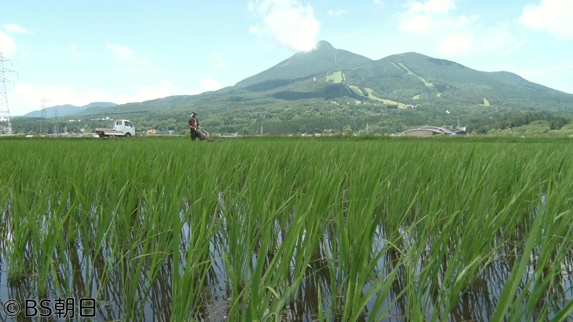 🈑バトンタッチ SDGsはじめてます　「おいしいお米を追求する夫婦の情熱！」