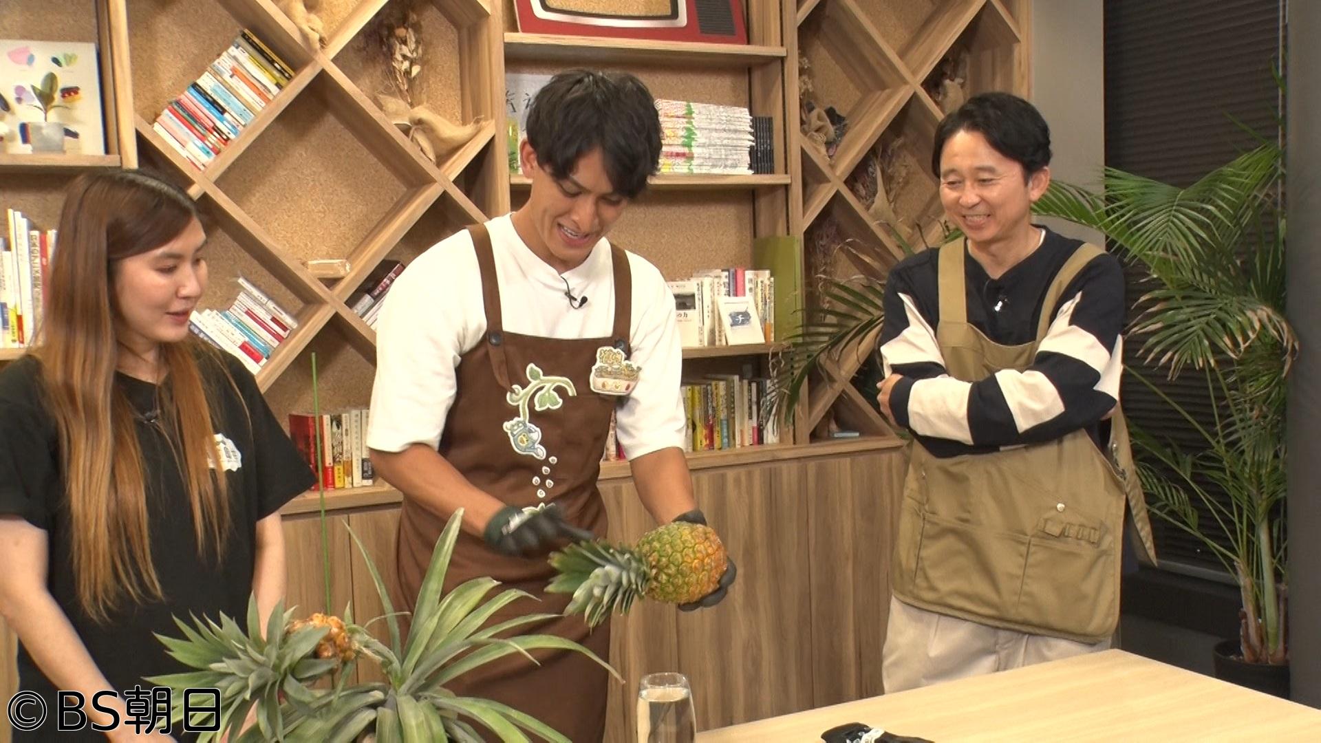 🈑夢が咲く 有吉園芸　「誰でも簡単！そらベジ先生直伝の再生栽培」