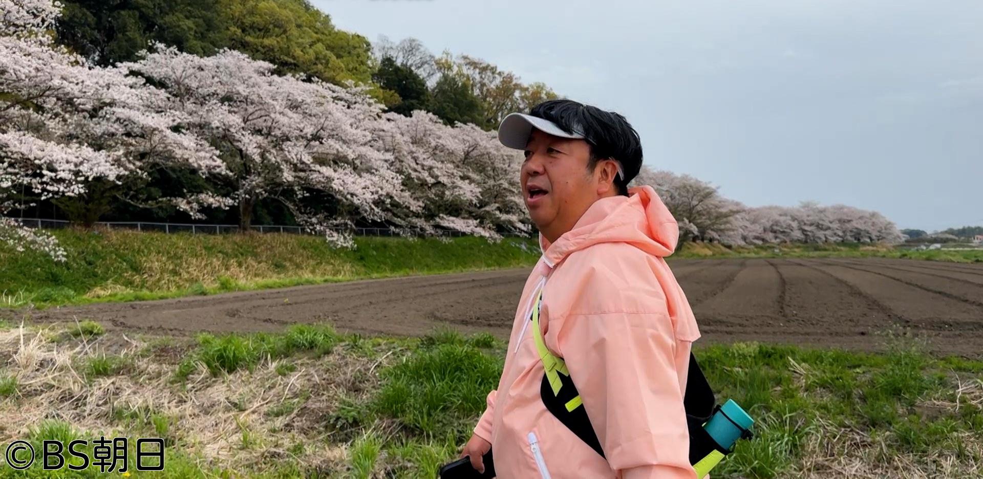 🈑ウォーキングのひむ太郎　「もう一度歩きたい！季節の絶景ウォーキングSP」