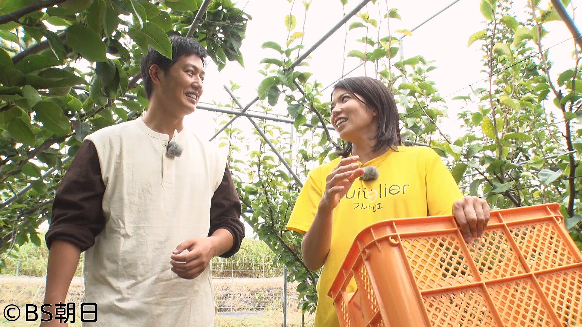 🈑工藤阿須加が行く 農業始めちゃいました　▽福岡・梨農家！観光客が集まる農園