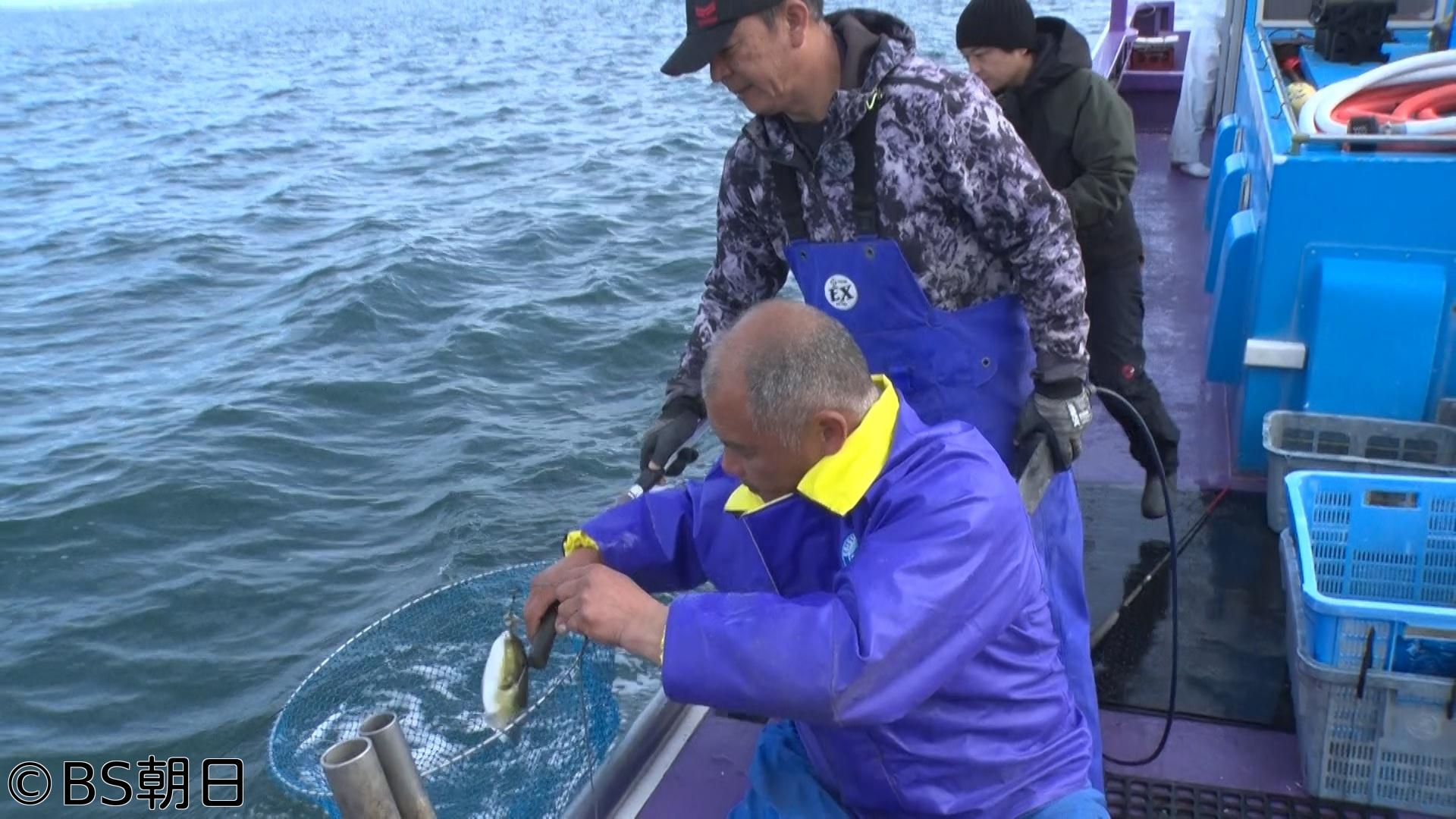 🈑魚が食べたい！　「千葉県でトラフグが大漁！絶品のキンメダイも！」