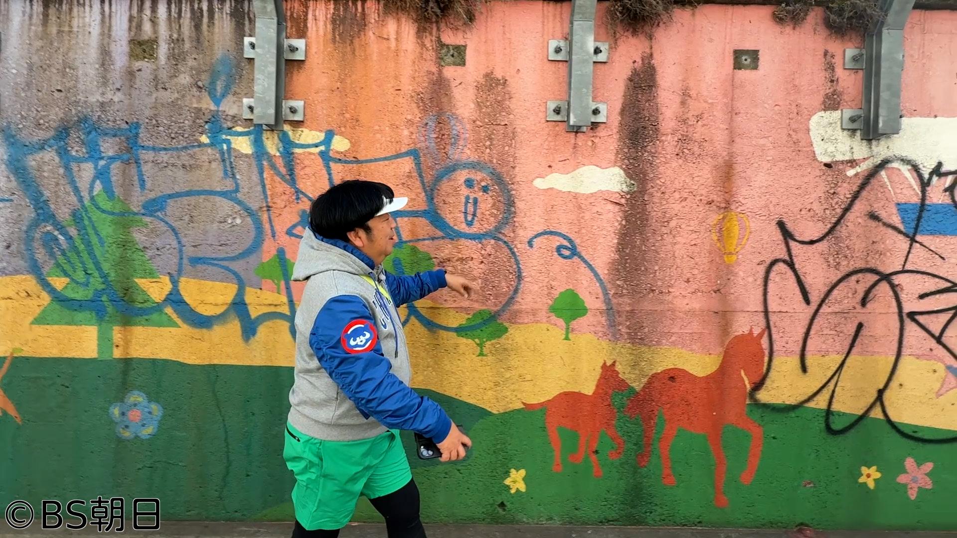 🈑ウォーキングのひむ太郎　「山手線1周⑧新大久保駅〜原宿駅編」