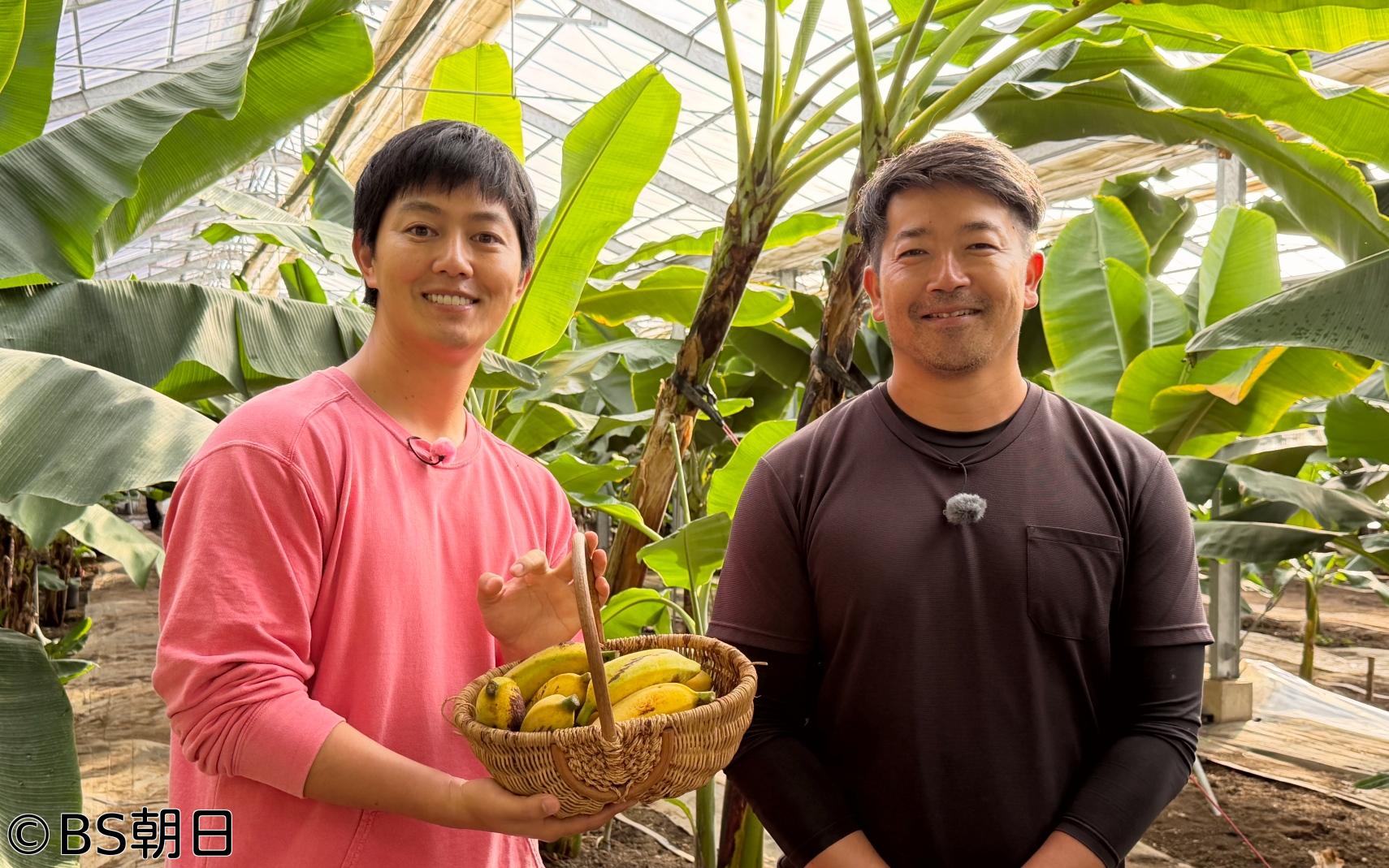 🈑工藤阿須加が行く 農業始めちゃいました　▽希少品種のバナナを栽培！