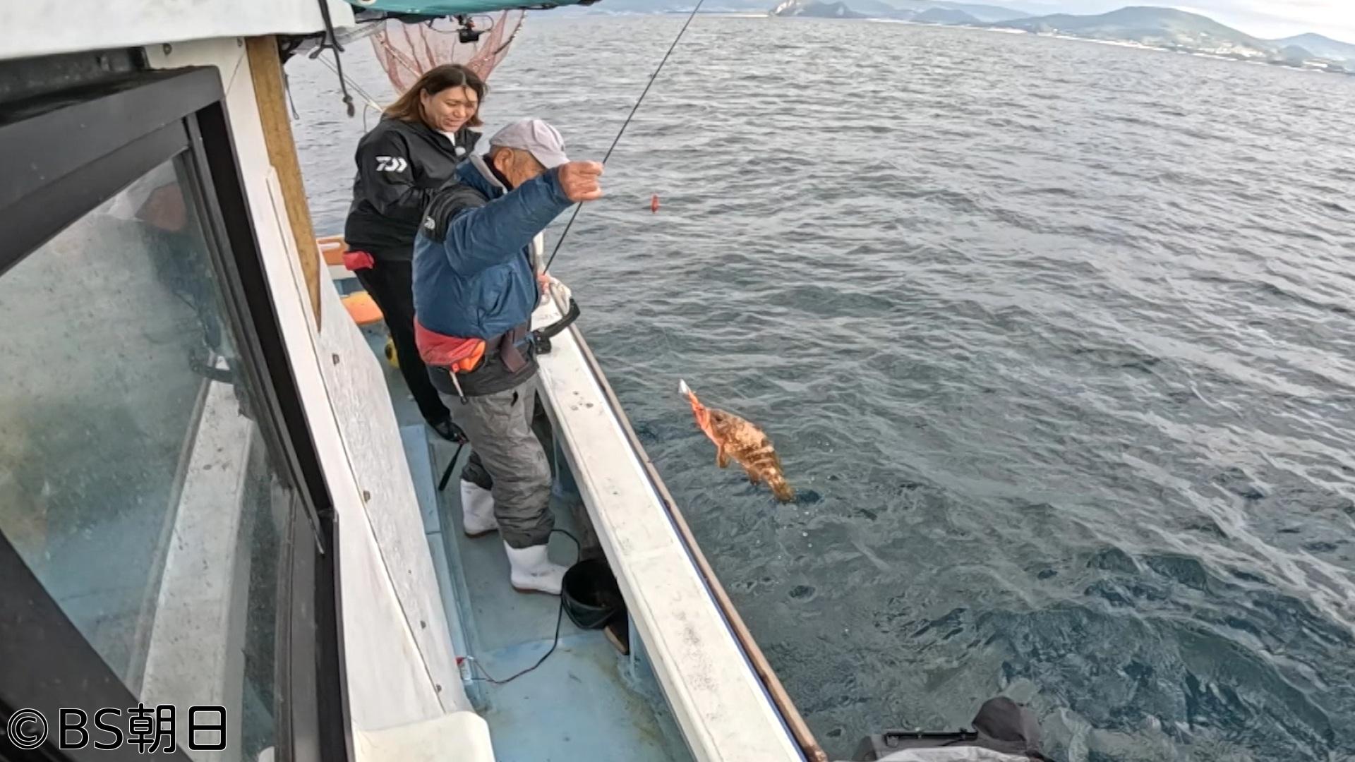 🈑魚が食べたい！　「速い潮流で起伏も激しい漁場でアコウの1本釣り漁に密着！」