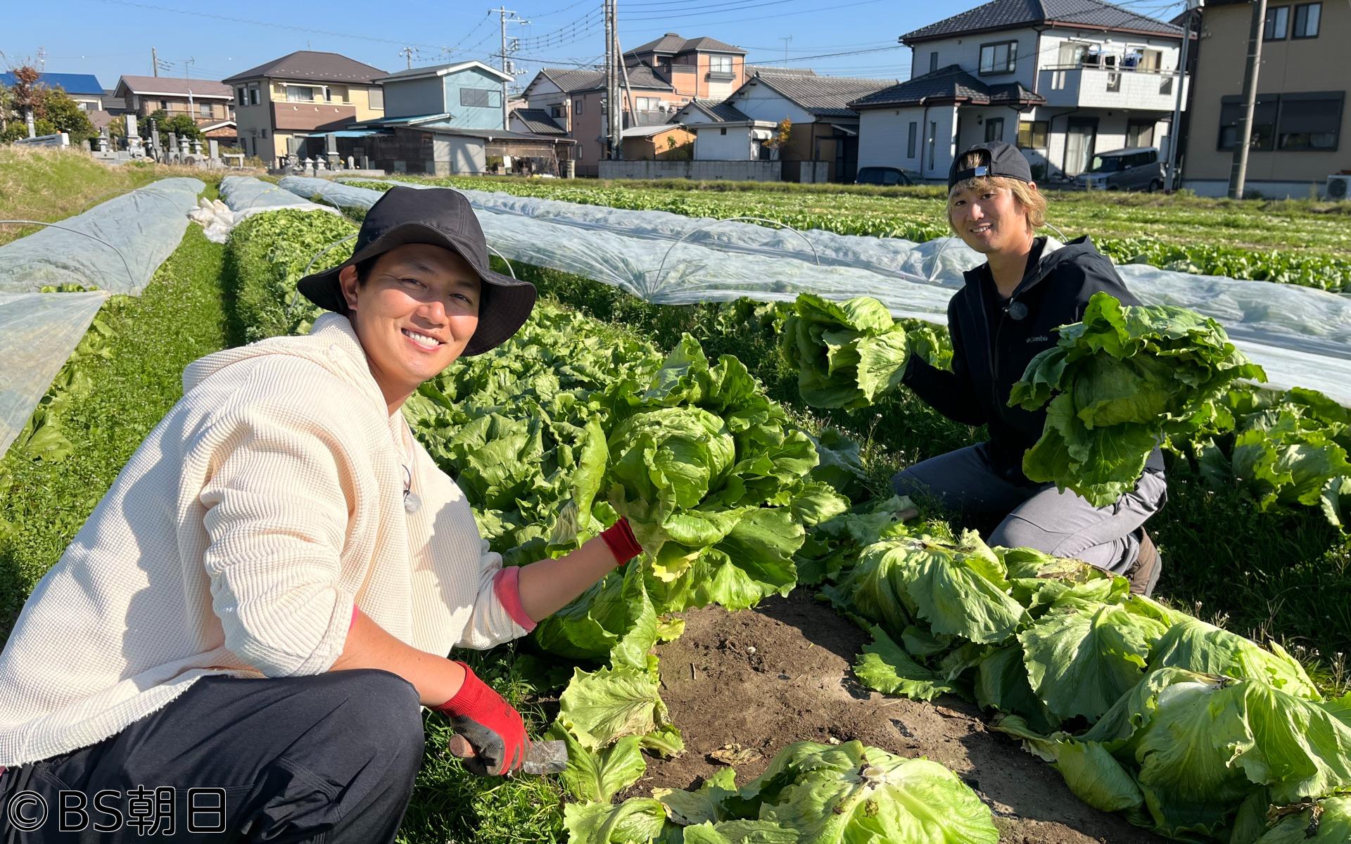 🈑工藤阿須加が行く 農業始めちゃいました　▽音楽業界から転身！レタスを栽培！
