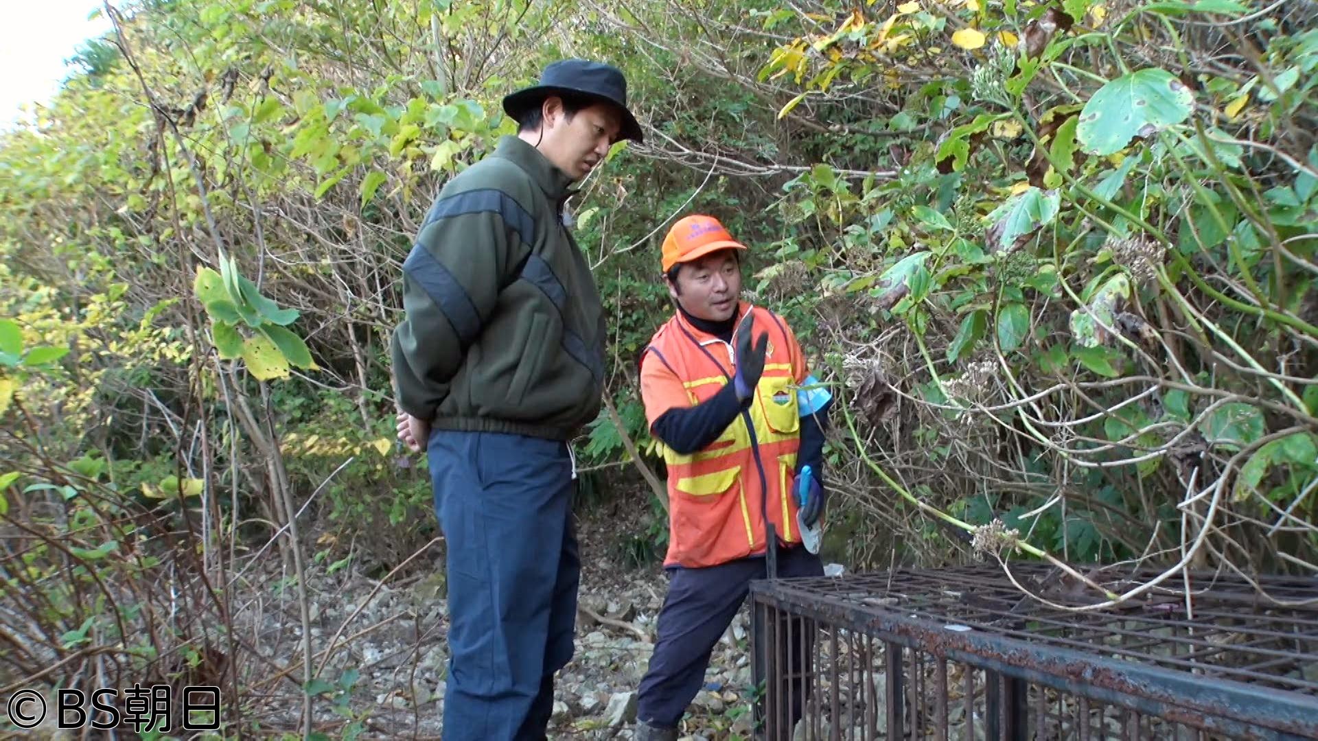 🈑工藤阿須加が行く 農業始めちゃいました　▽千葉・猟師に密着！獣害から農家を守る