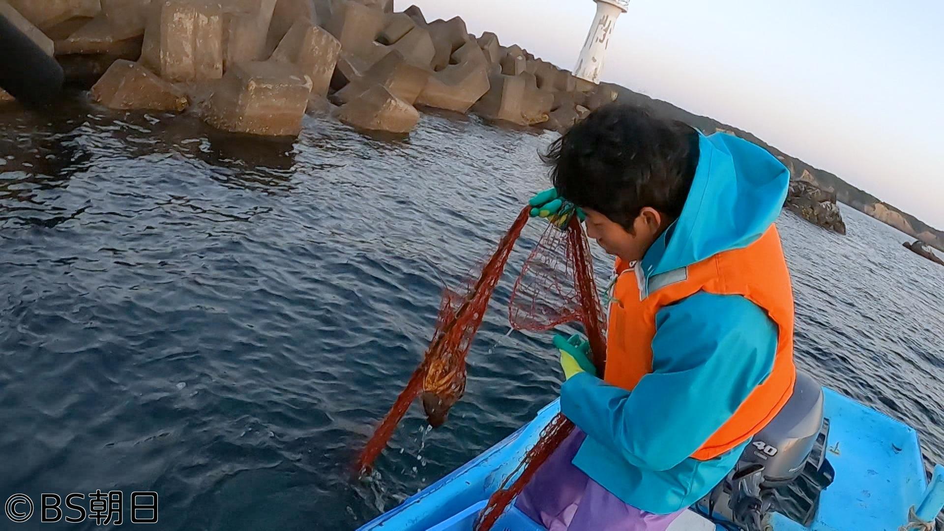 🈑魚が食べたい！　「三重のイセエビと寒ビラメ！若手漁師が狙う！」