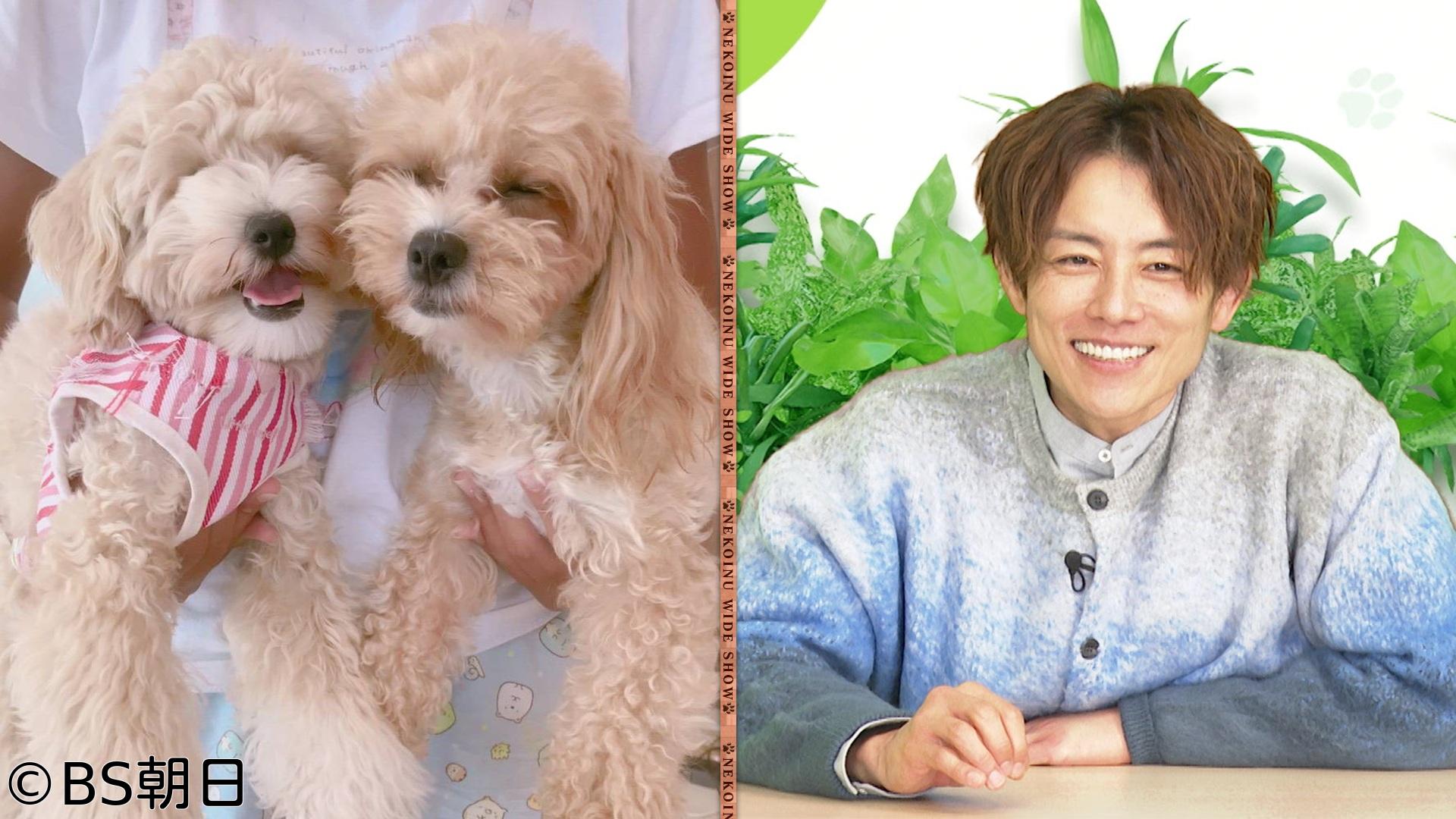 🈑ネコいぬワイドショー　【ゲスト】杉浦太陽