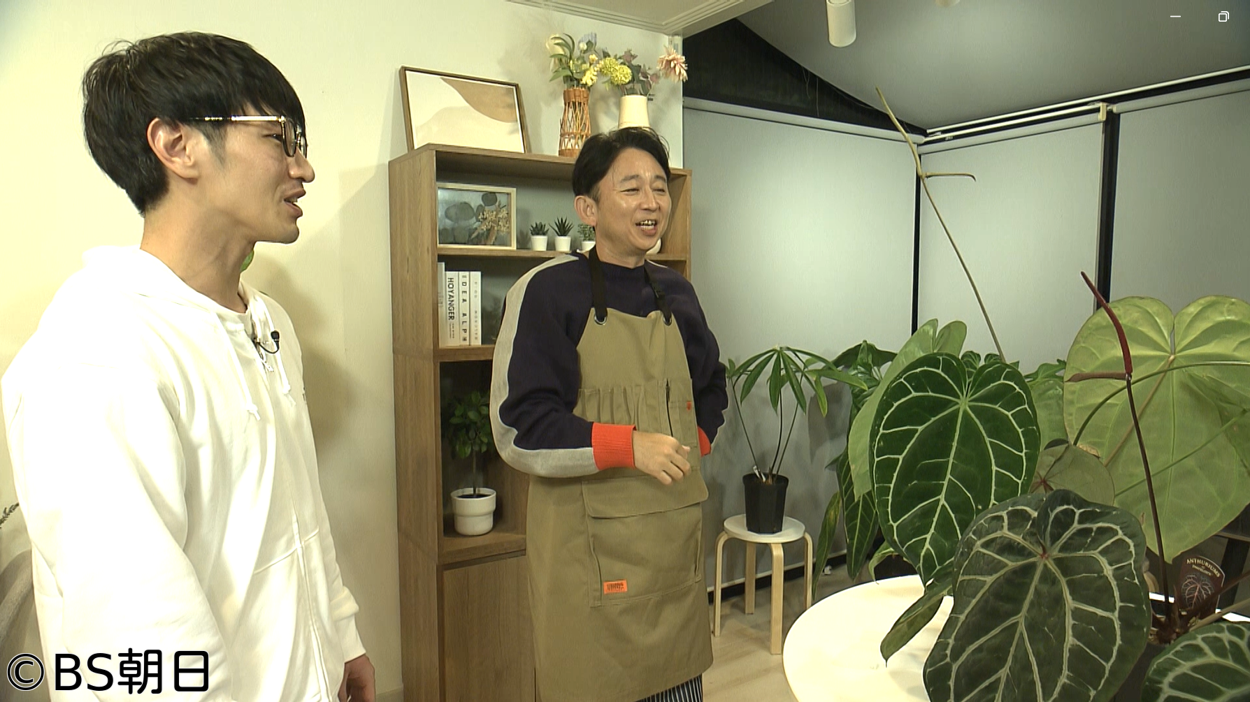 🈑夢が咲く 有吉園芸　「世界で人気沸騰中！目指せアンスリウムドリーム」