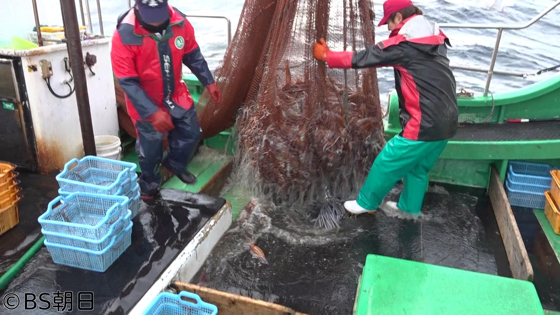 🈑魚が食べたい！　「秋田で脂乗り抜群のマダイ漁へ！さらにハタハタも!?」