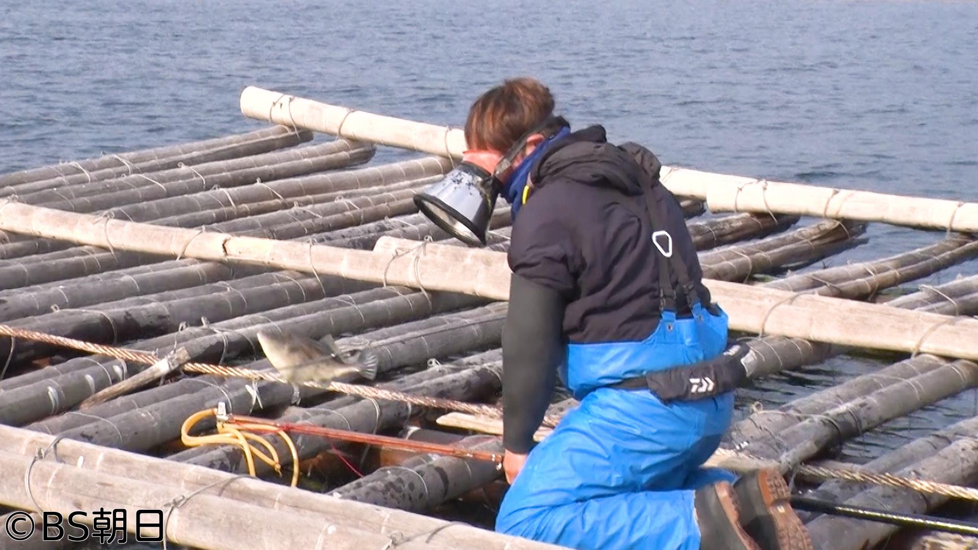 🈑魚が食べたい！　「カキ筏の上から!?広島ならではの謎の鉄砲漁とは？」