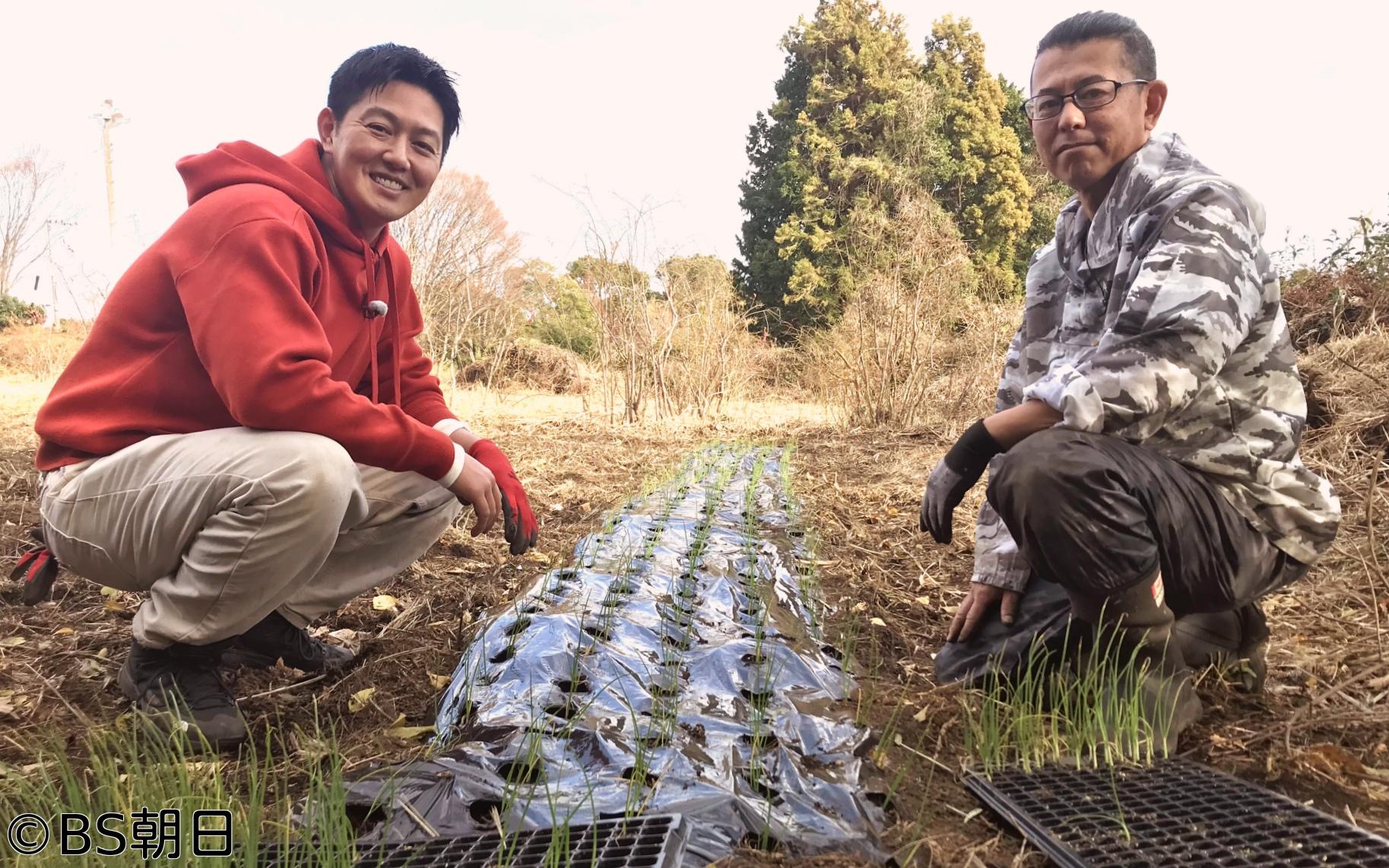 🈑工藤阿須加が行く 農業始めちゃいました　▽農家レストラン絶品カレー＆ジェラート