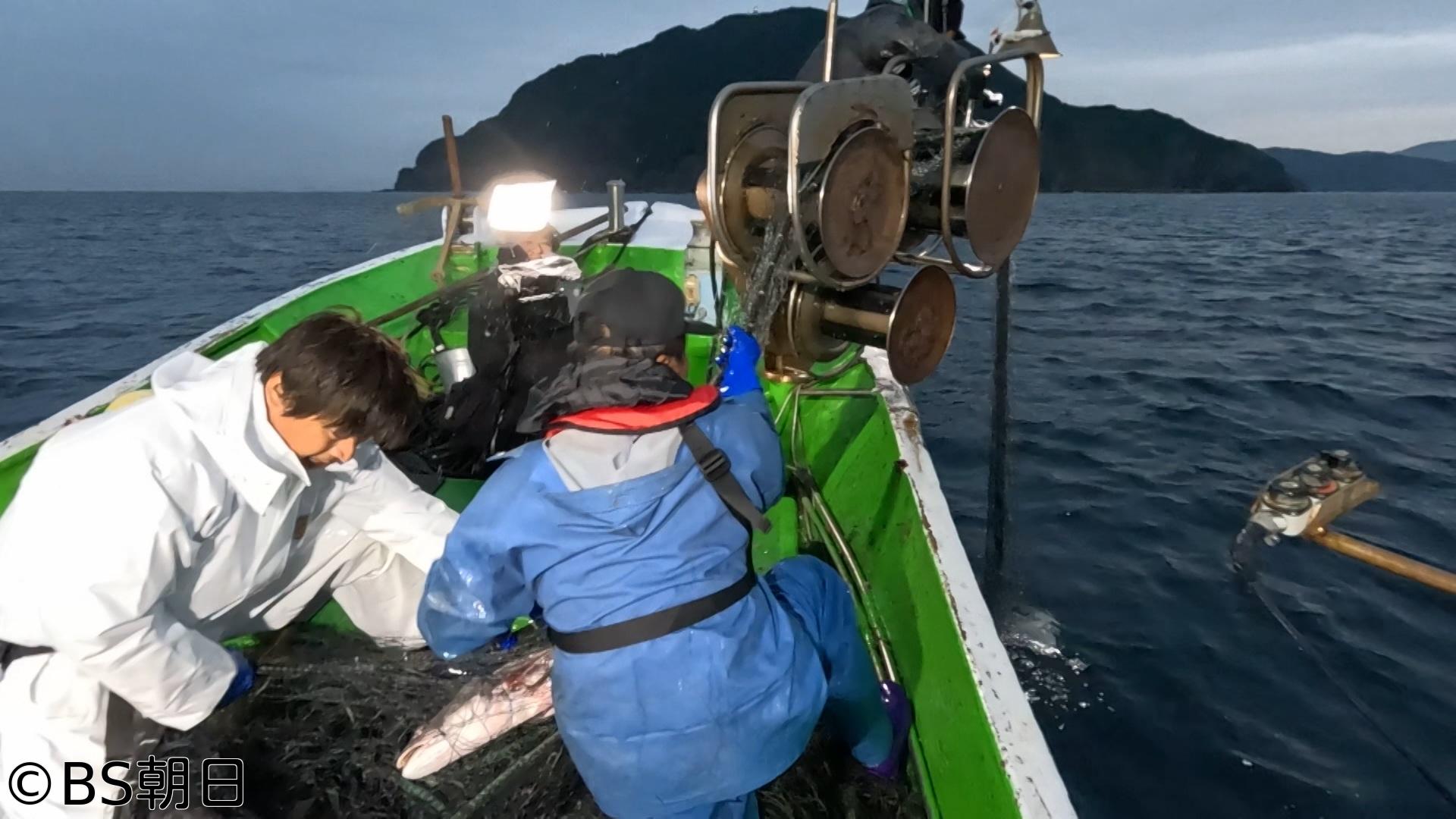 🈑魚が食べたい！　「宮崎県の巨大オオニベ、大漁なるか？」