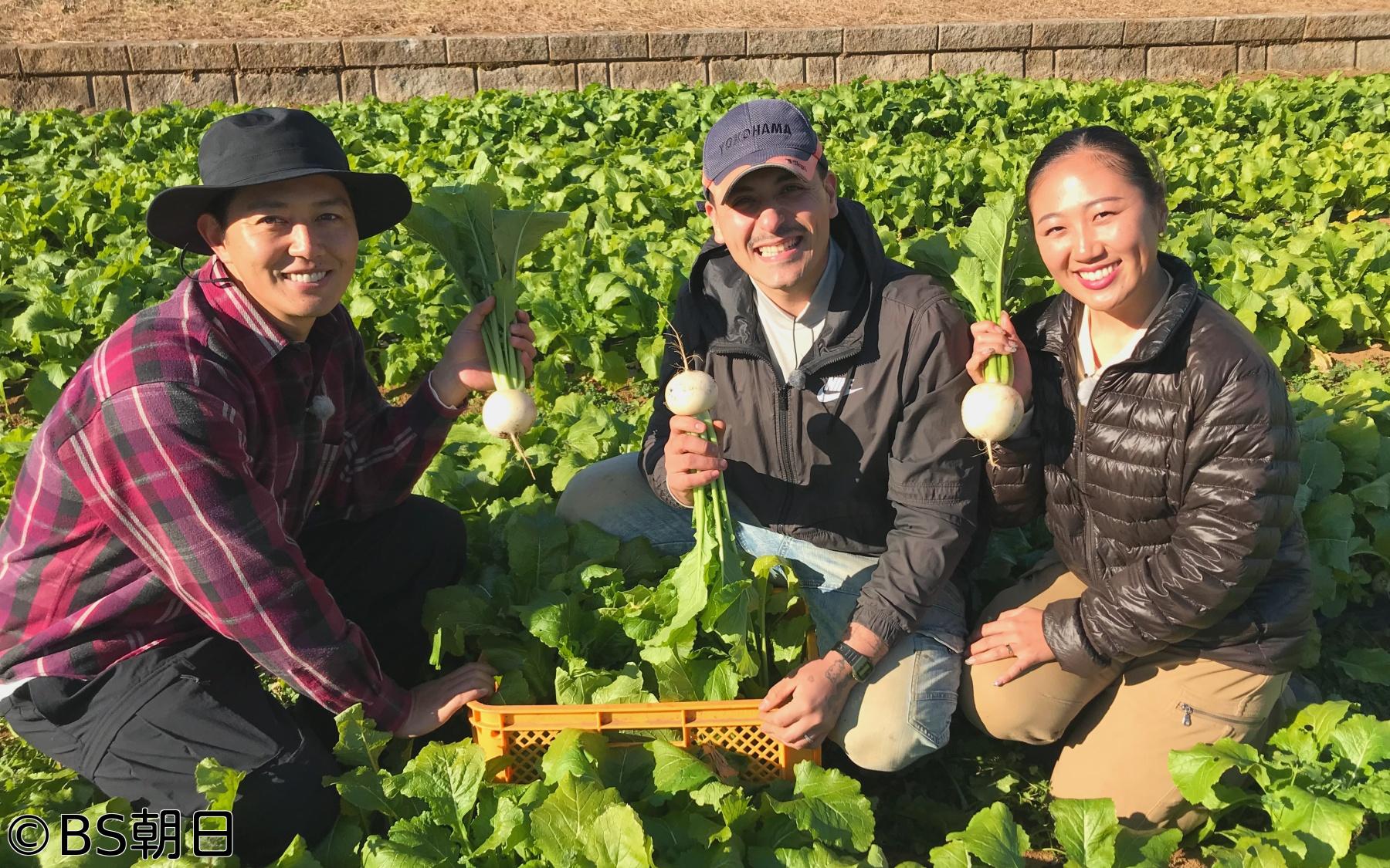 🈑工藤阿須加が行く 農業始めちゃいました　▽横浜で作るカラフル野菜！