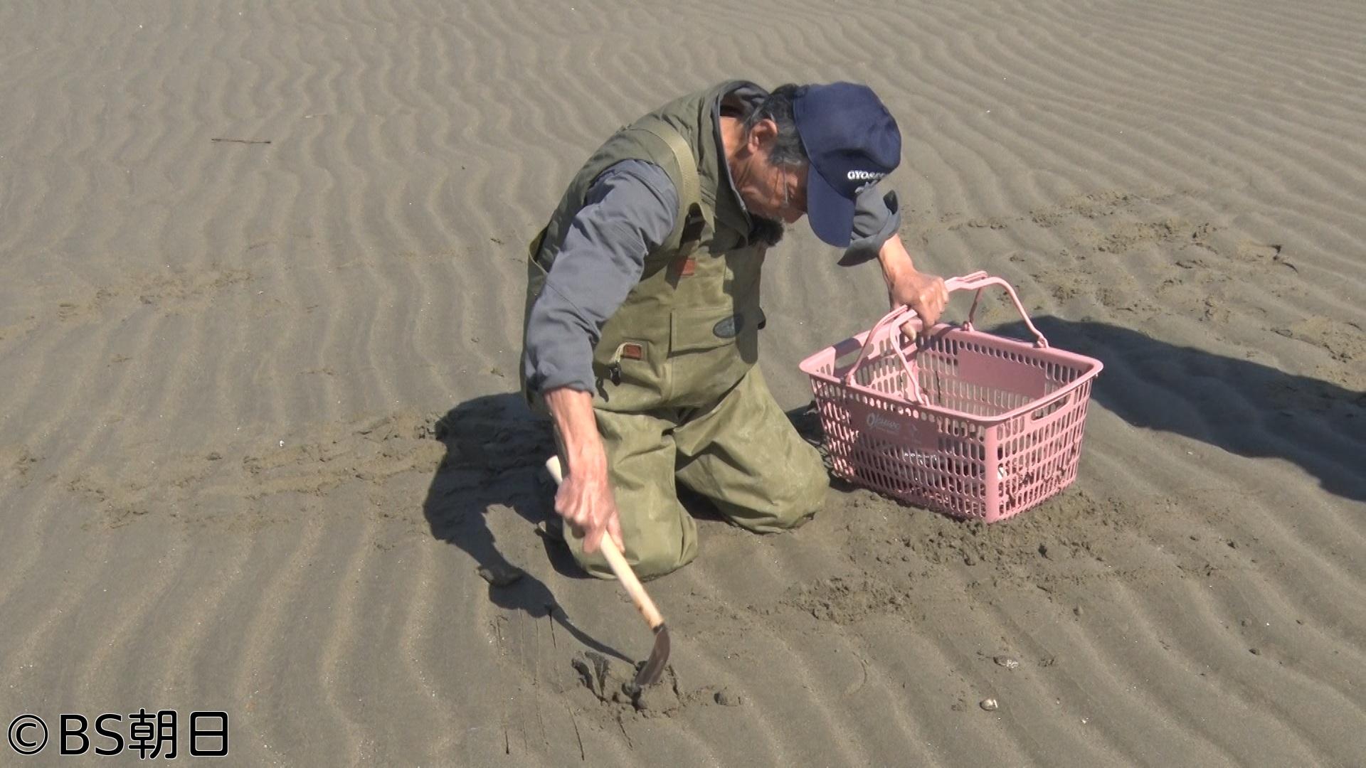 🈑魚が食べたい！　「お魚博士とゴールデントライアングルで絶品魚調査！」