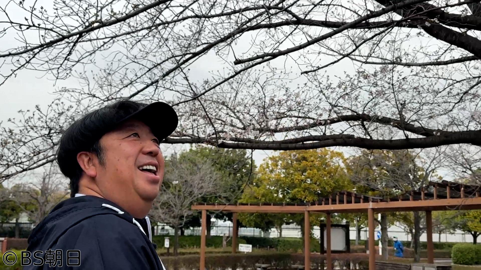 🈑ウォーキングのひむ太郎　「荒川区町屋〜三ノ輪編」