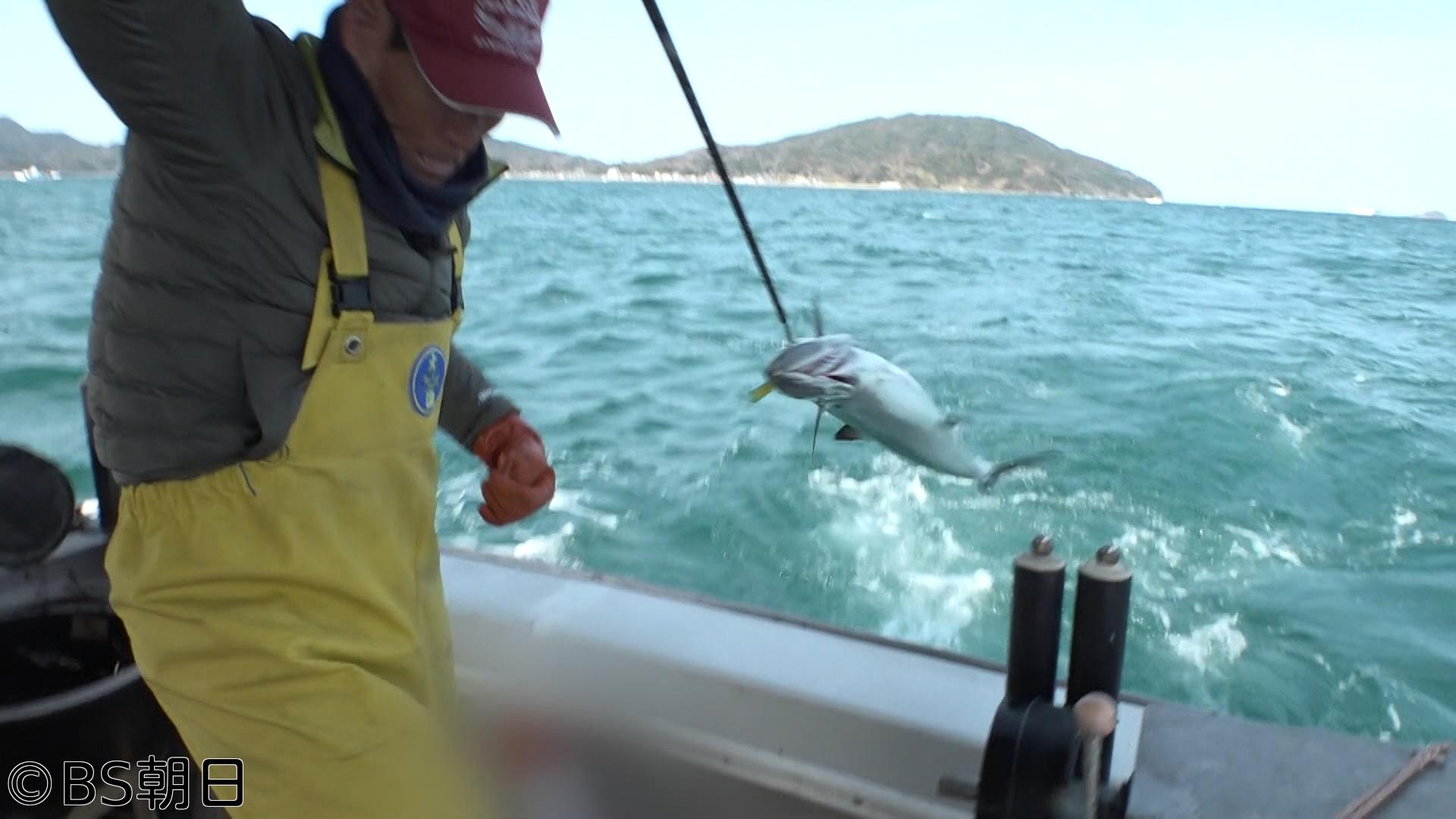 🈑魚が食べたい！　「玄界灘のサワラ漁と若き名人のカキ養殖に密着！」