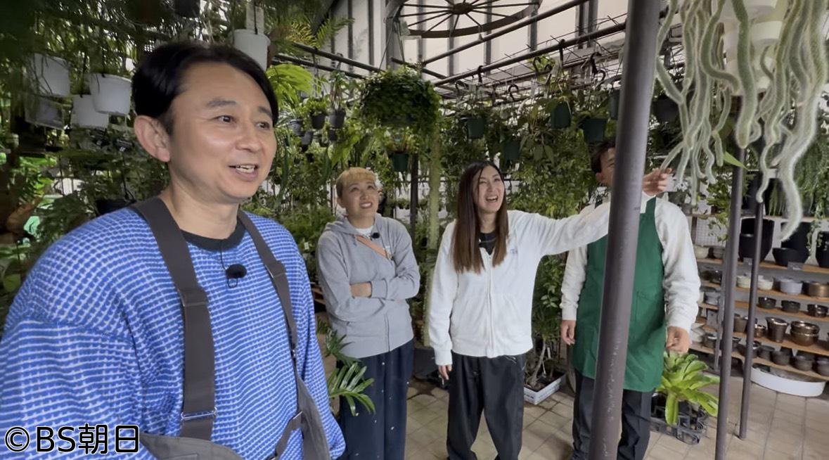 🈑夢が咲く 有吉園芸　「オシャレで人気の吊るし植物」