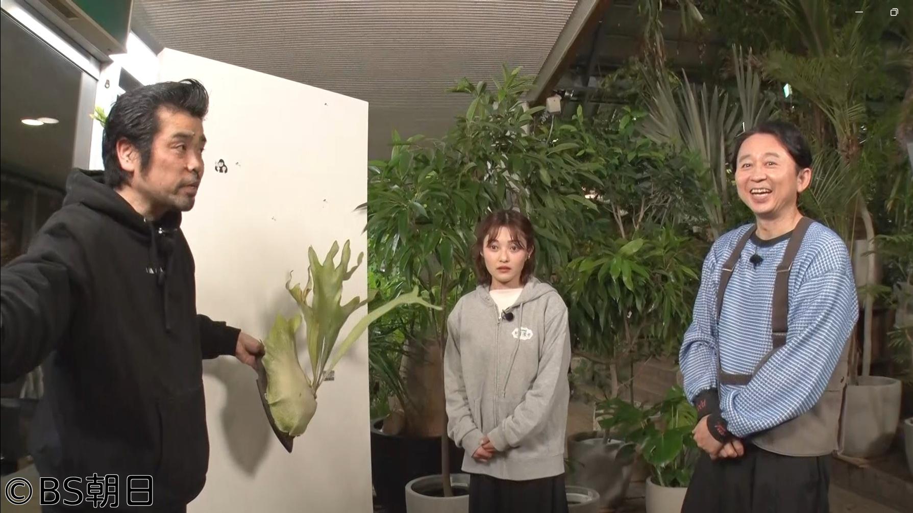 🈑夢が咲く 有吉園芸　「人気植物ビカクシダを学ぶ＆すぐマネできる園芸の裏ワザ」