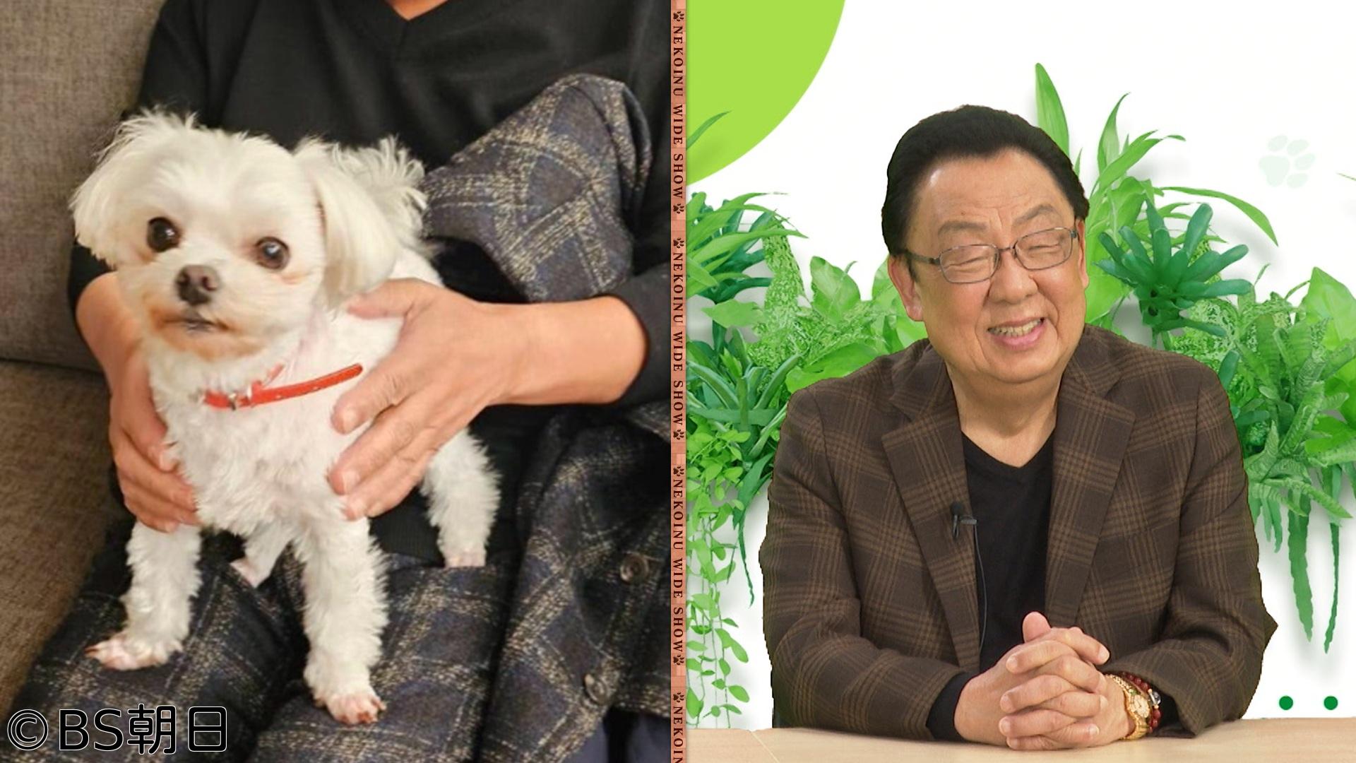 🈑ネコいぬワイドショー　【ゲスト】梅沢富美男
