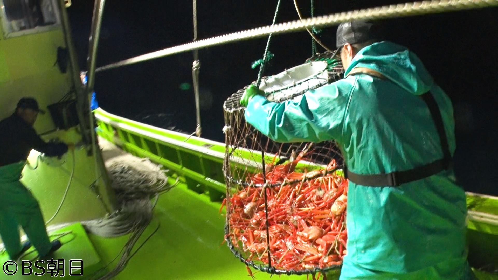 🈑魚が食べたい！　「新潟県・長時間のベニズワイガニ漁へ！ぽたぽた感とは!?」