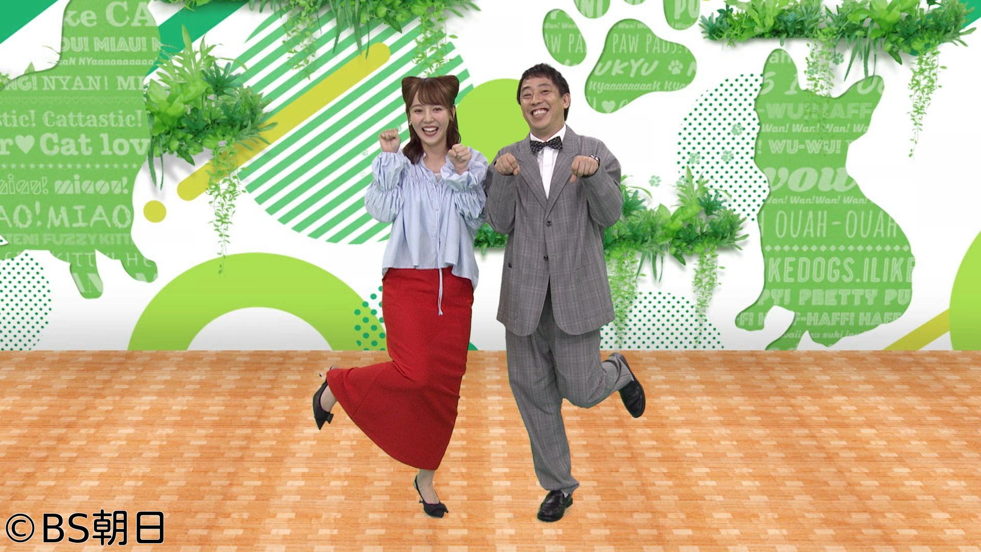 🈑ネコいぬワイドショー　傑作選SP