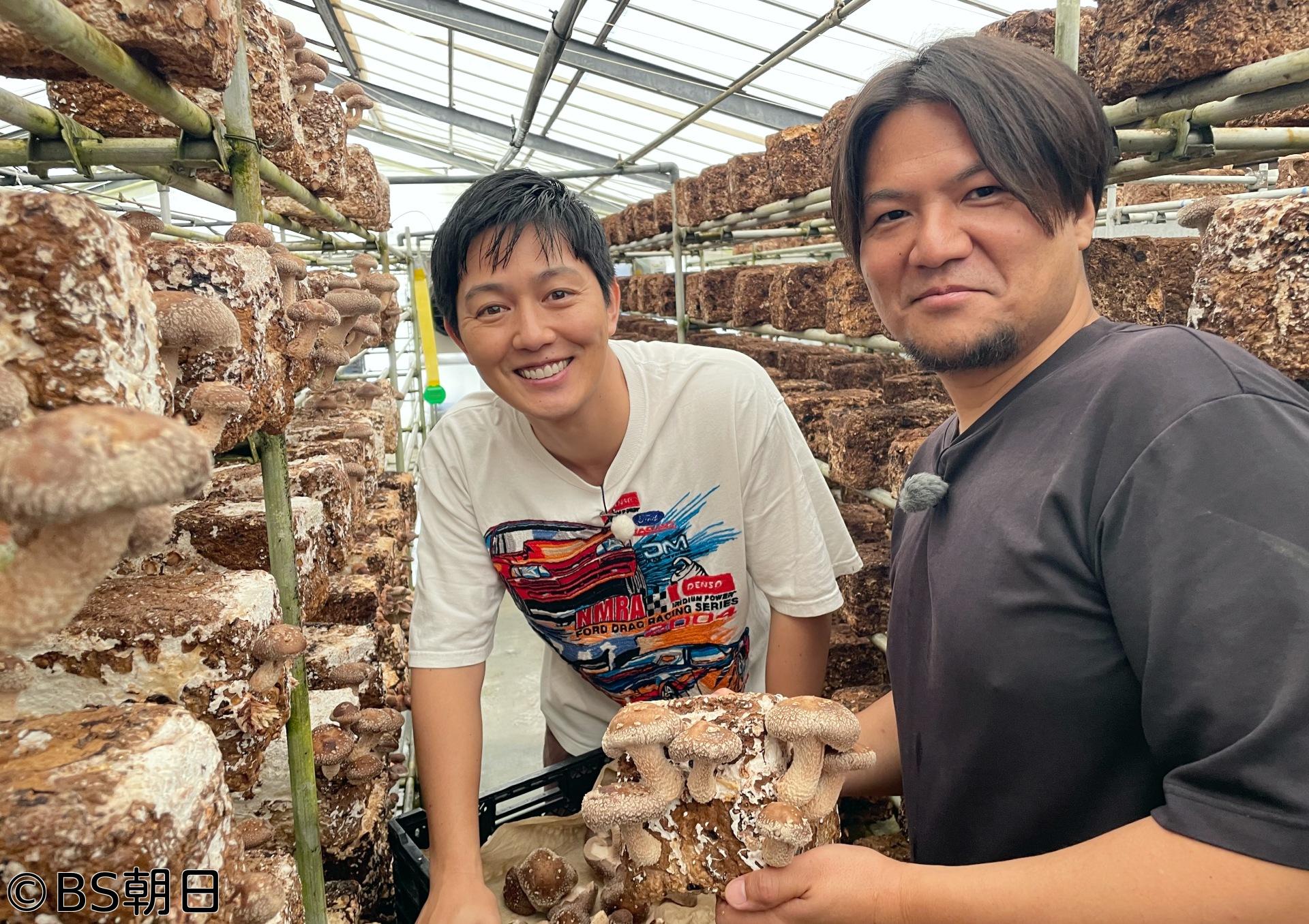 🈑工藤阿須加が行く 農業始めちゃいました　▽絶品シイタケ！伝統農園の挑戦