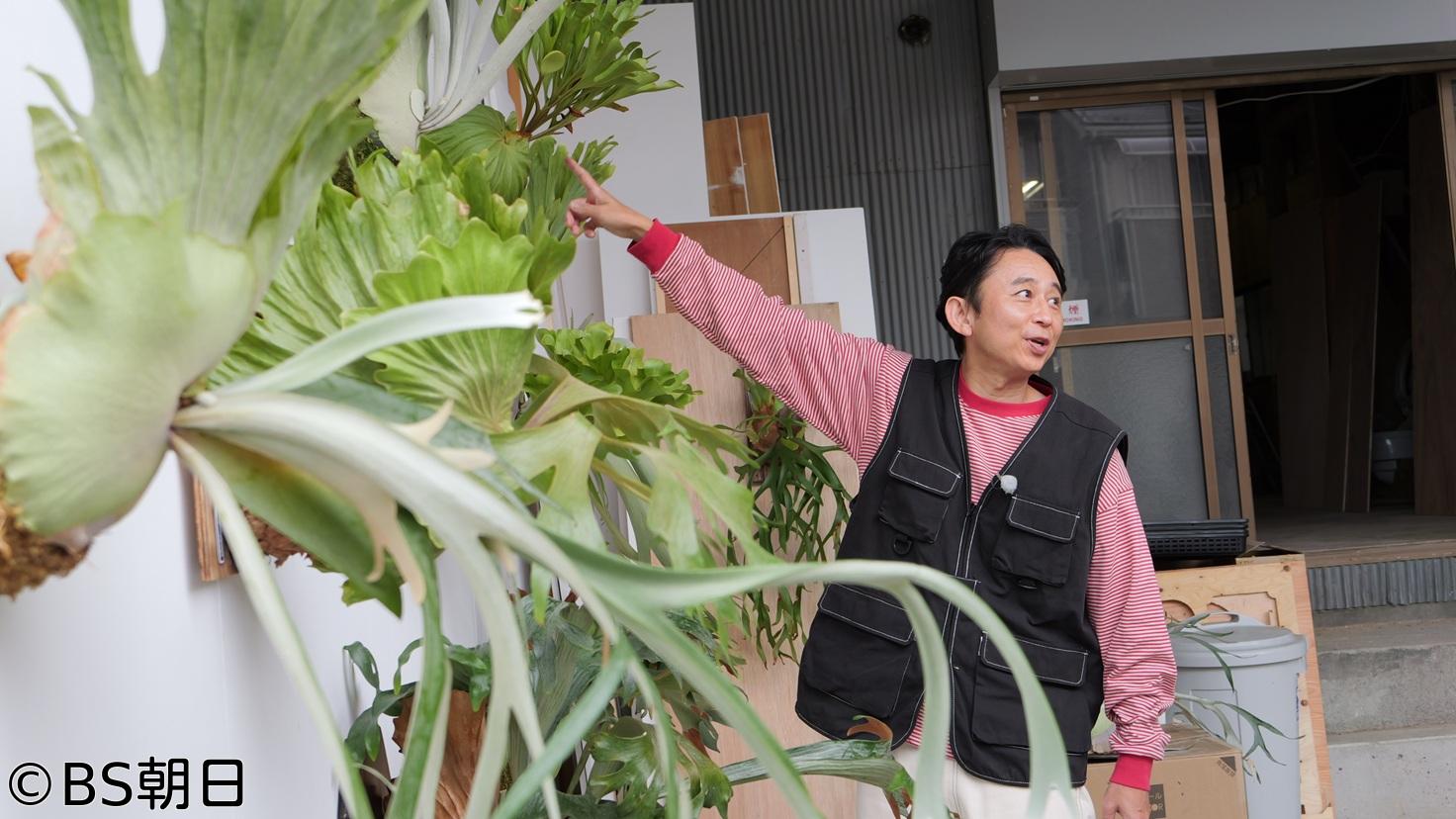 🈑夢が咲く 有吉園芸　「番組初の○○○○発表！」