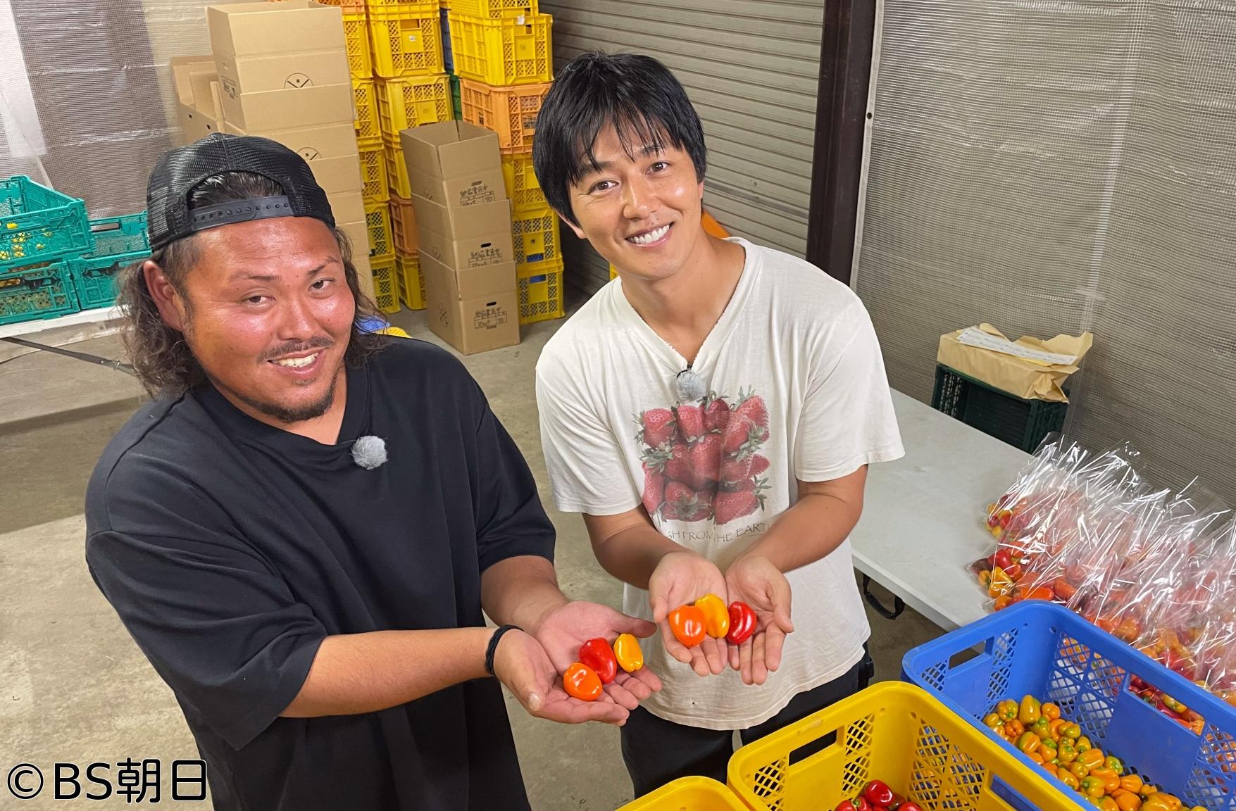 🈑工藤阿須加が行く 農業始めちゃいました　▽長野・カラフル！プチ野菜が続々