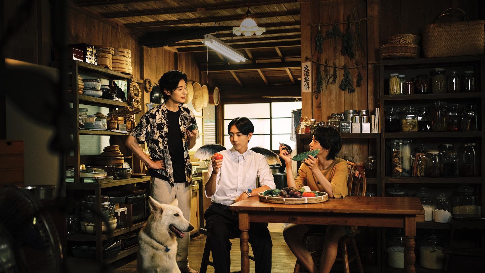 🈑木曜ドラマ２３天狗の台所　Ｓｅａｓｏｎ２🈡▼最終話「南瓜と無花果」