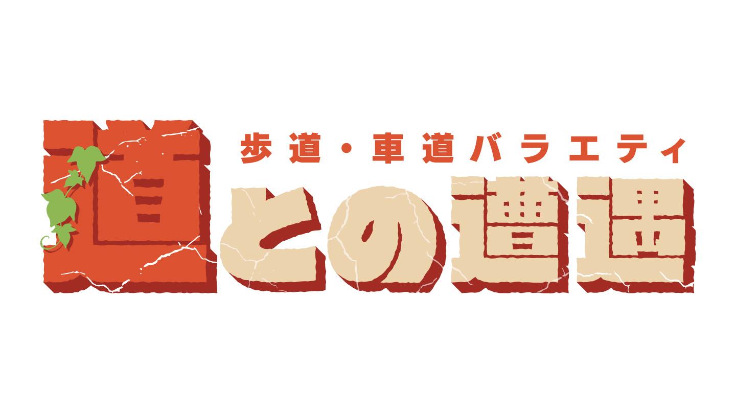 🈟歩道・車道バラエティ　道との遭遇▽２時間毎に一方通行の方向が変わる！？珍しい橋